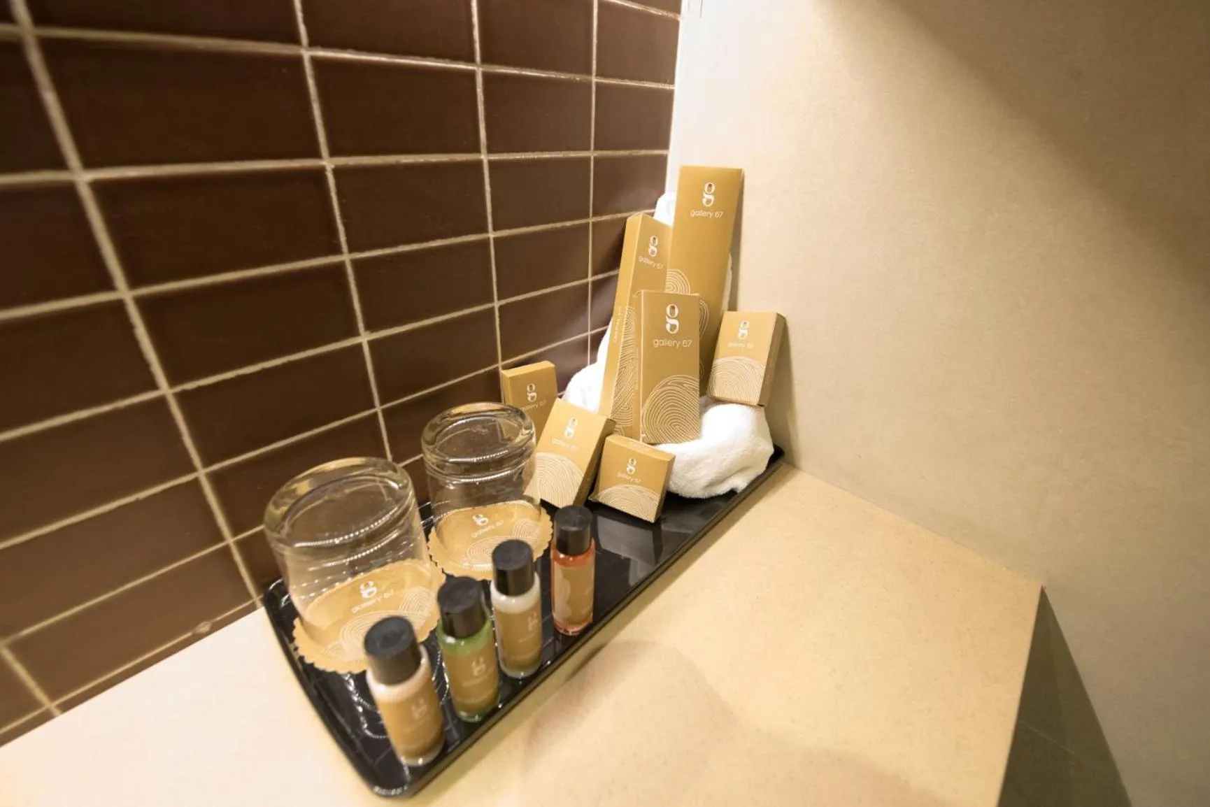 Area and facilities in Hotel Gallery 67