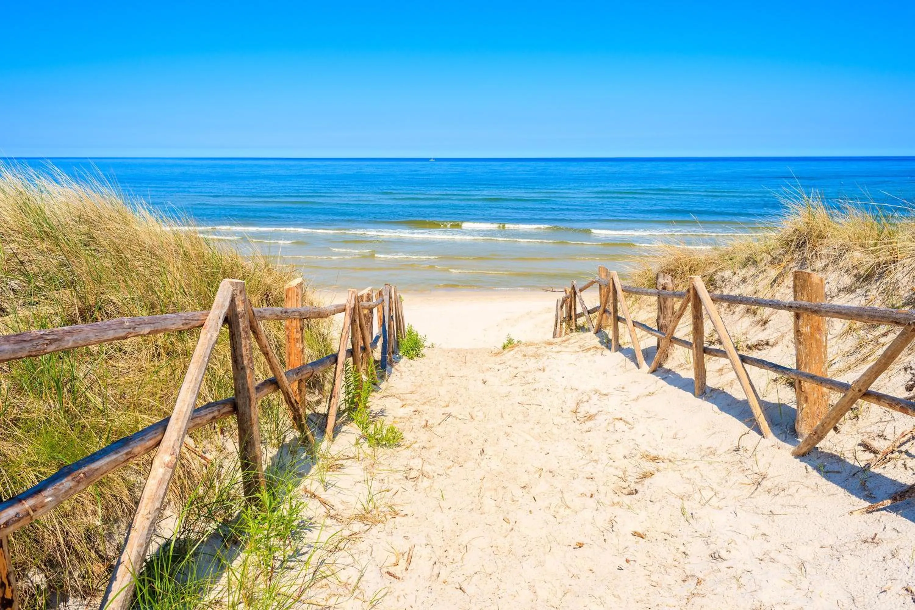 Natural landscape in Wczasowa 8 Apartments