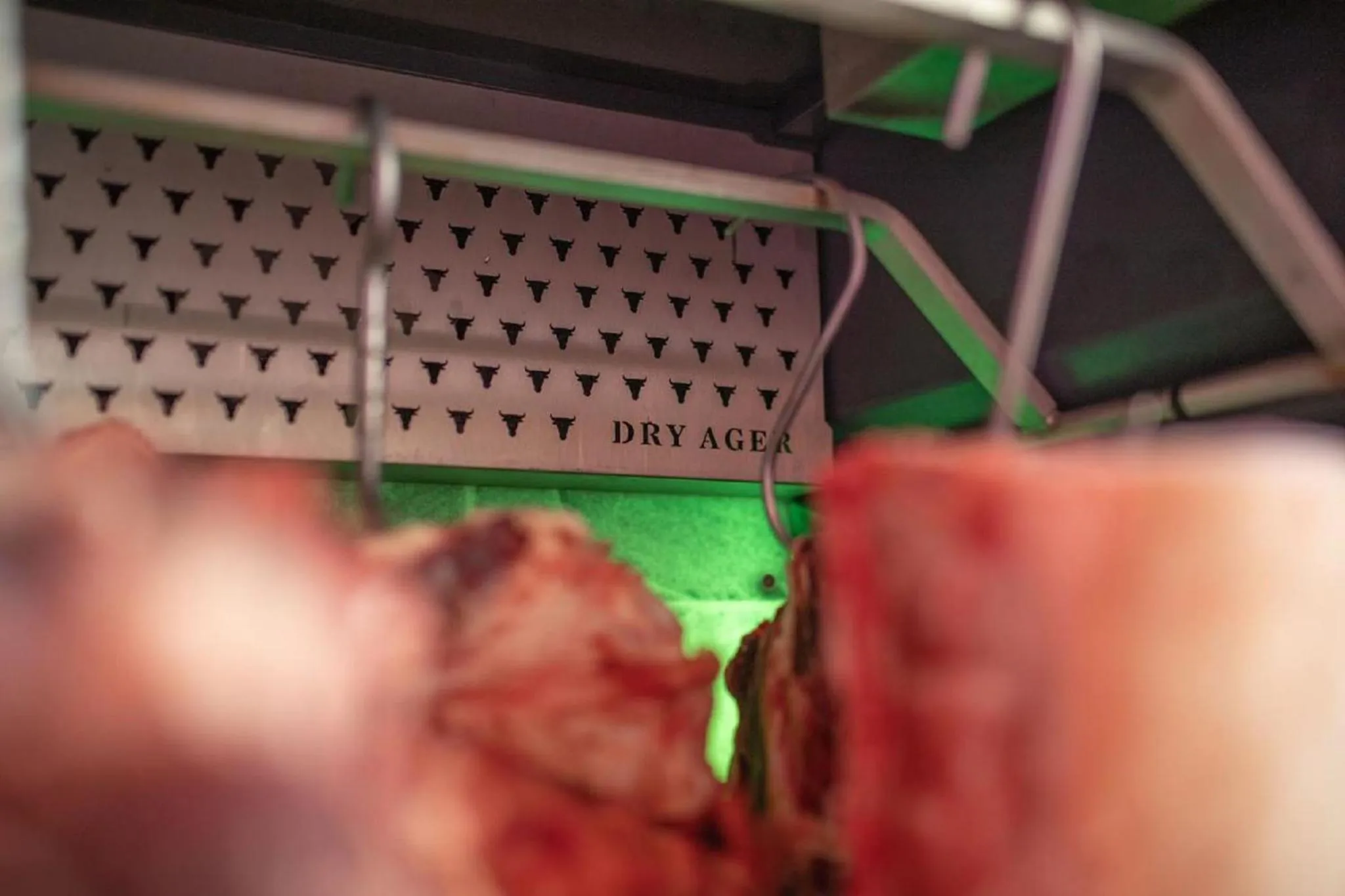 Food in Burggasthof Hauptmann