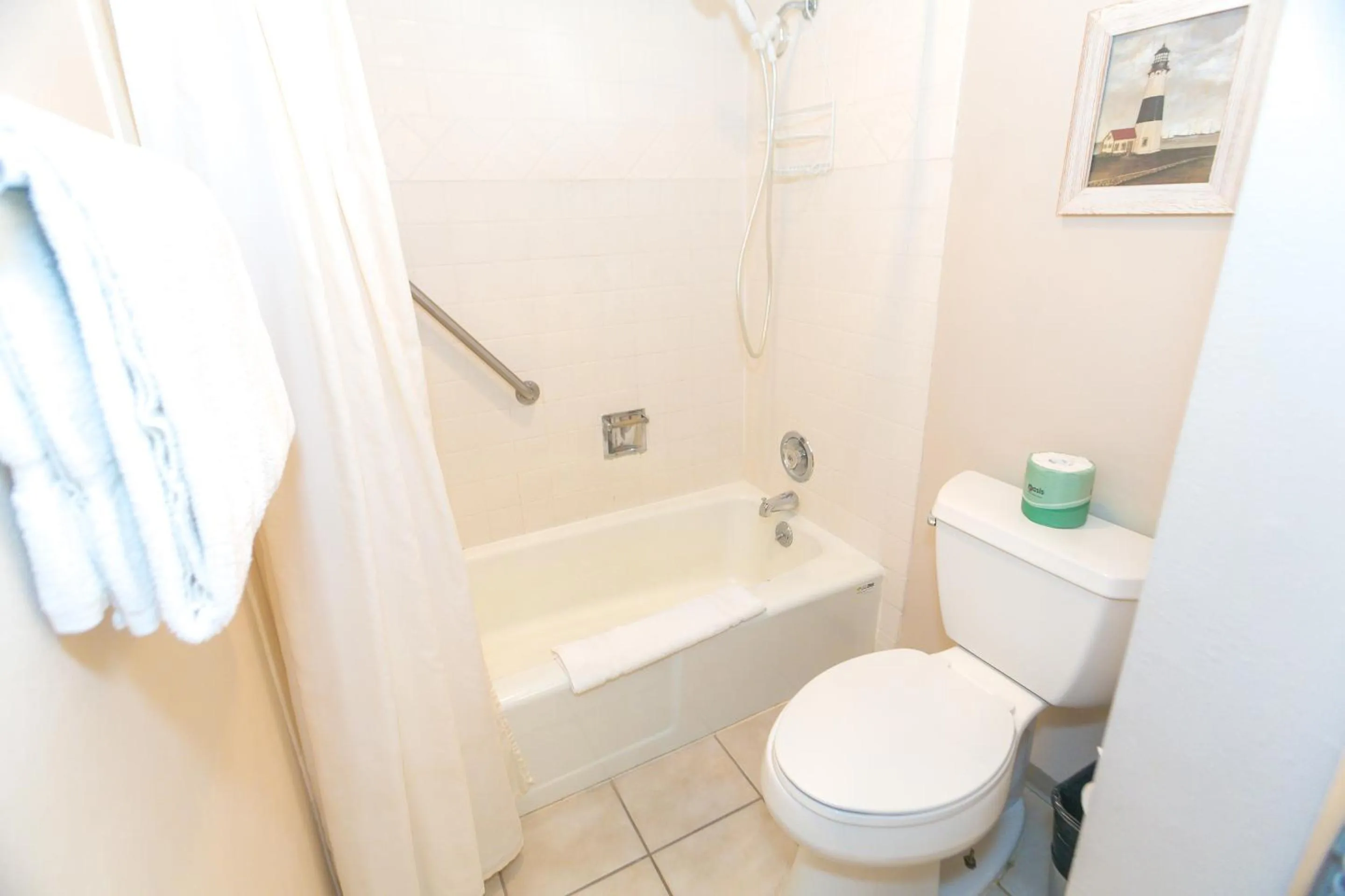 Bathroom in Grey Gull