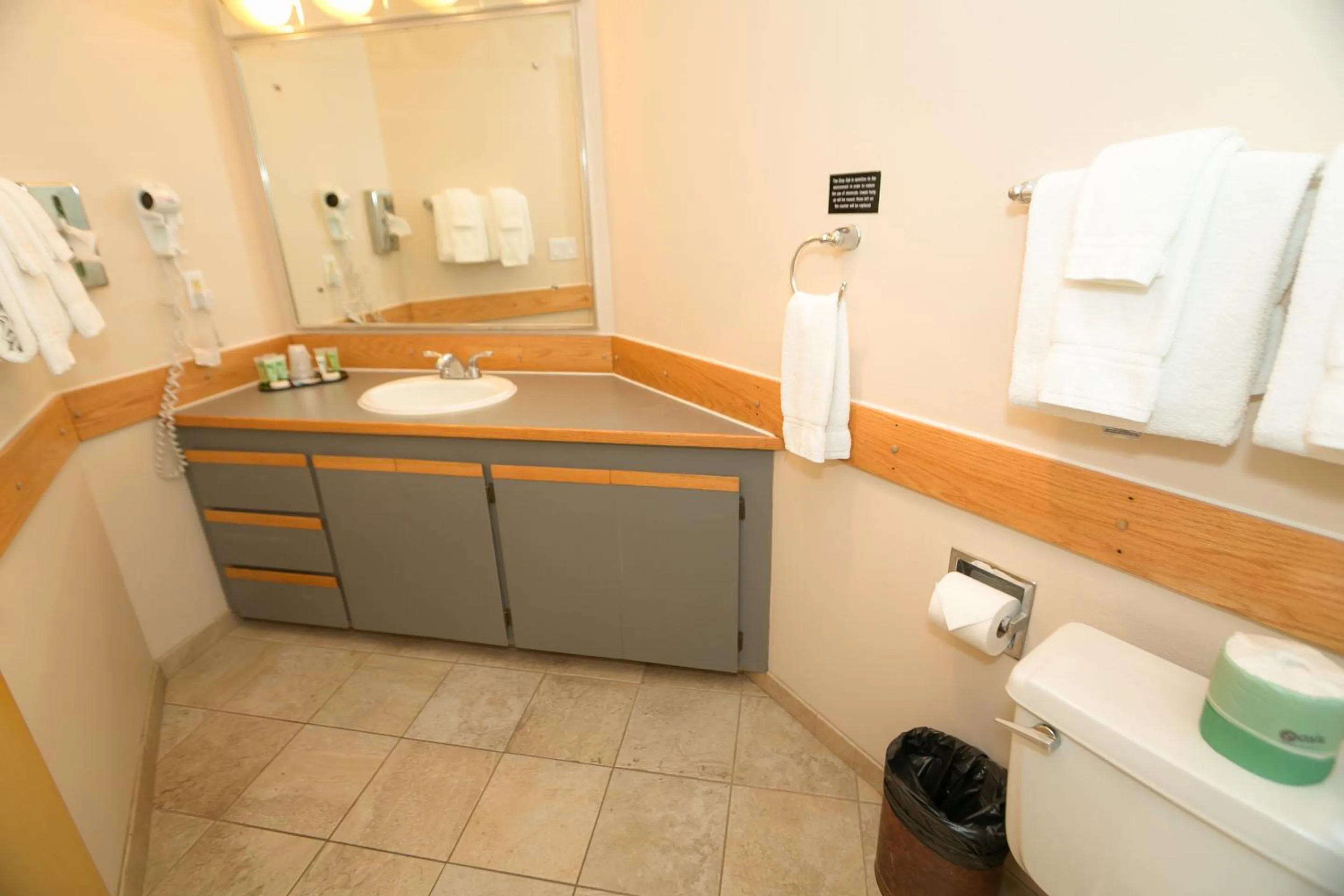 Bathroom in Grey Gull