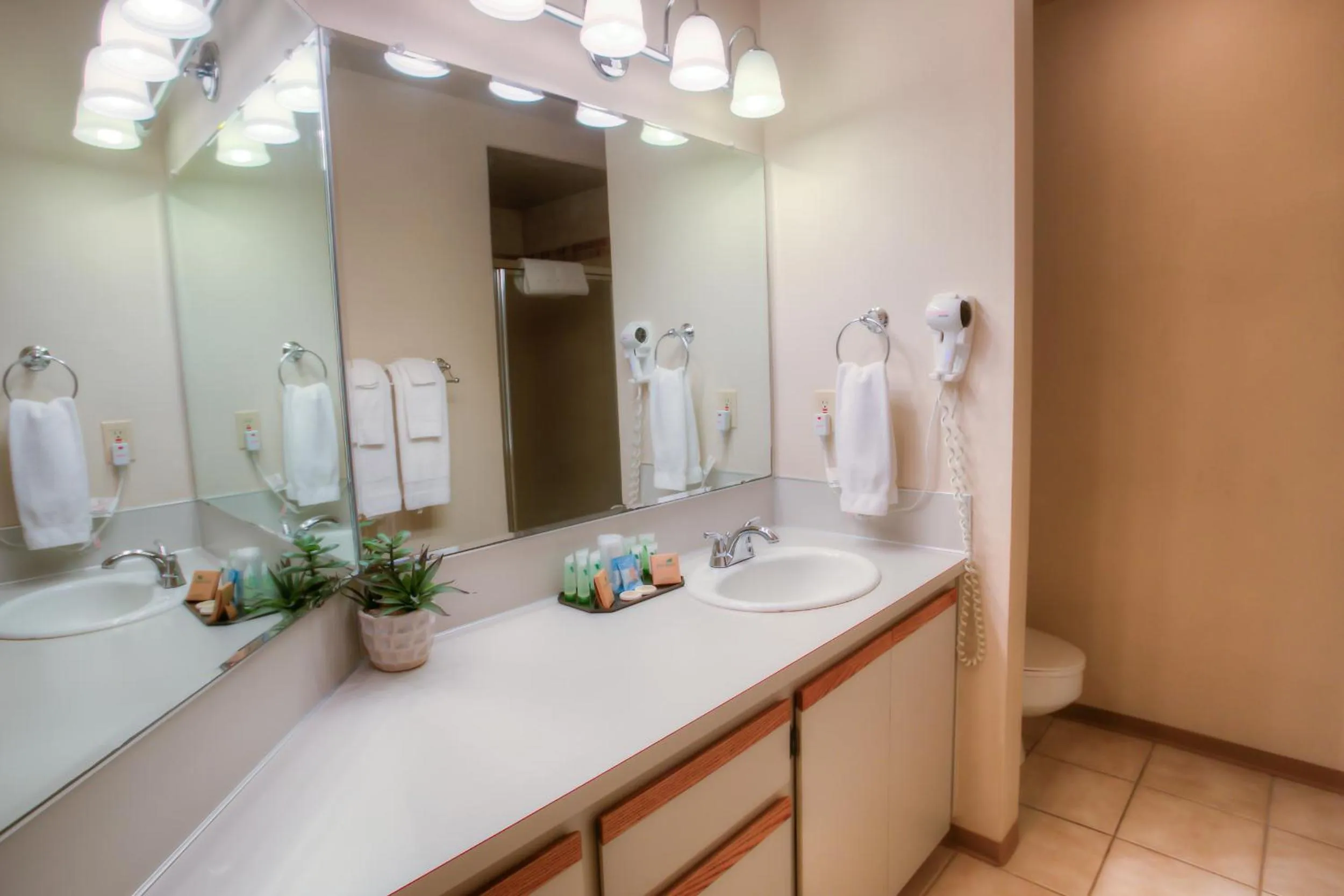 Bathroom in Grey Gull