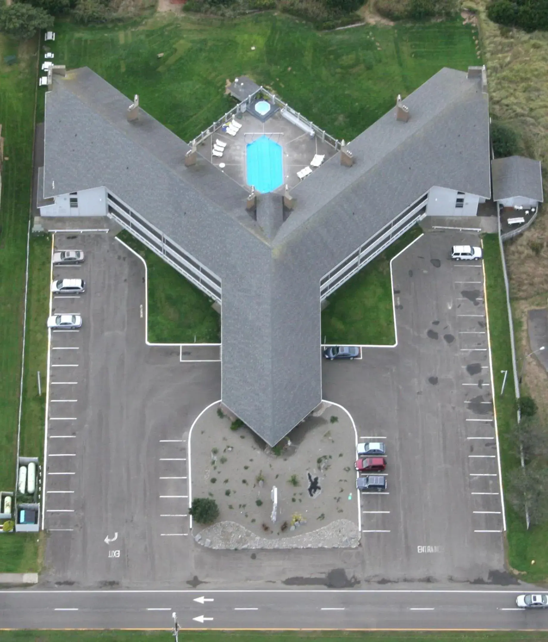 Bird's eye view in Grey Gull Bird's eye view in Grey Gull