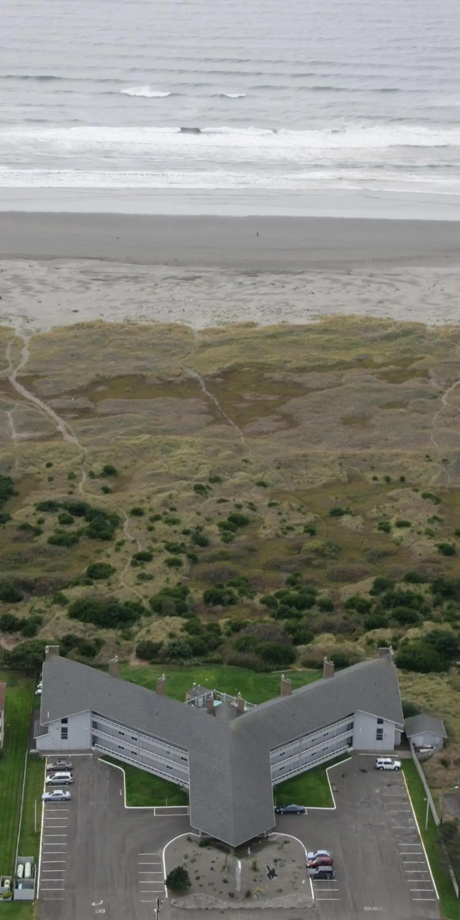 Bird's eye view in Grey Gull Bird's eye view in Grey Gull
