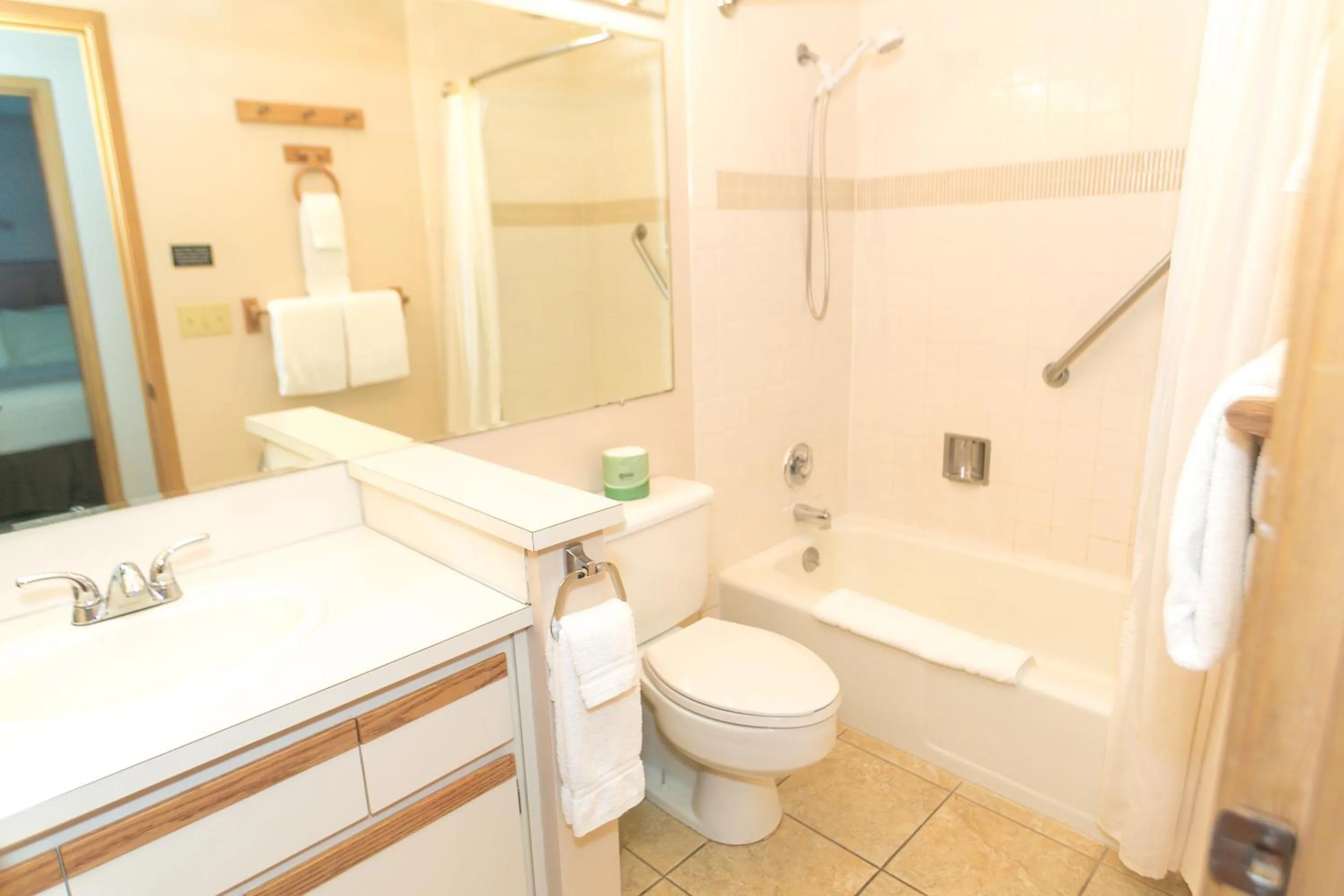 Bathroom in Grey Gull