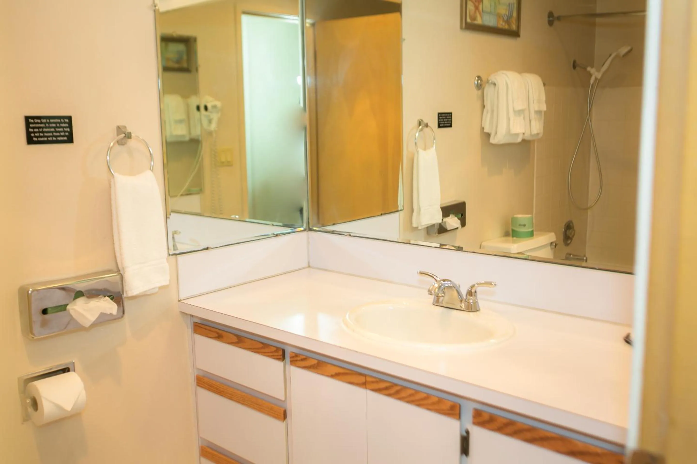 Bathroom in Grey Gull