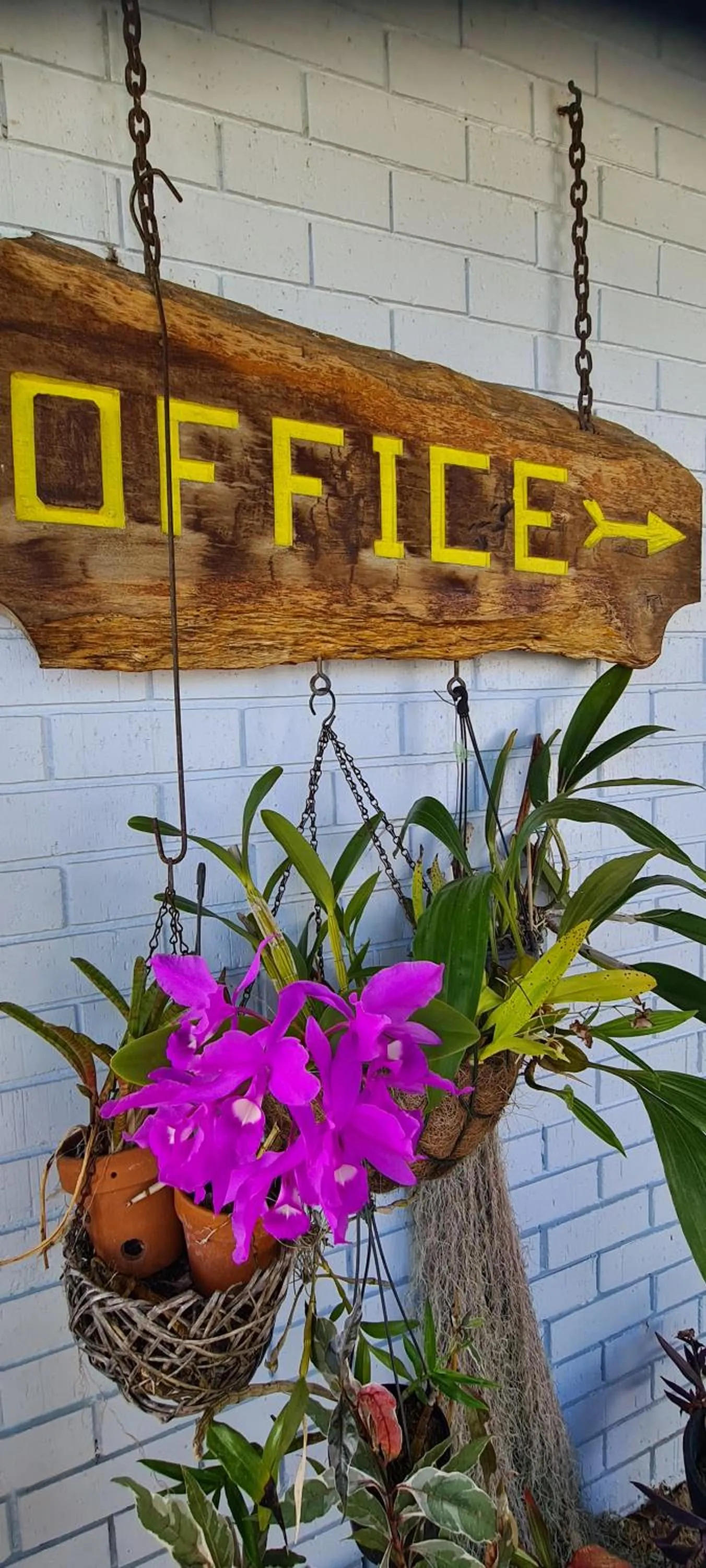 Cardwell Beachfront Motel