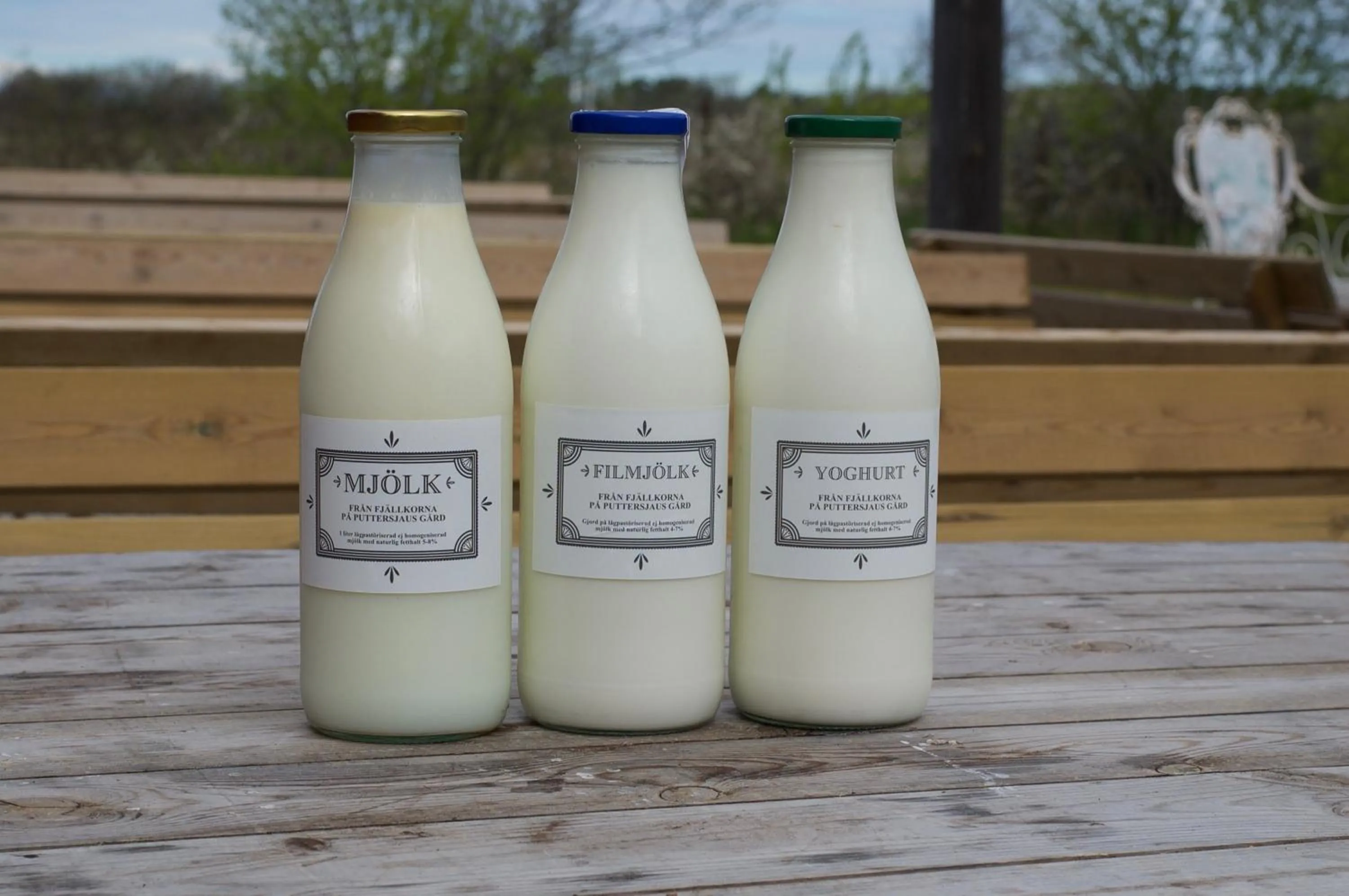 Breakfast in Hotel Stelor