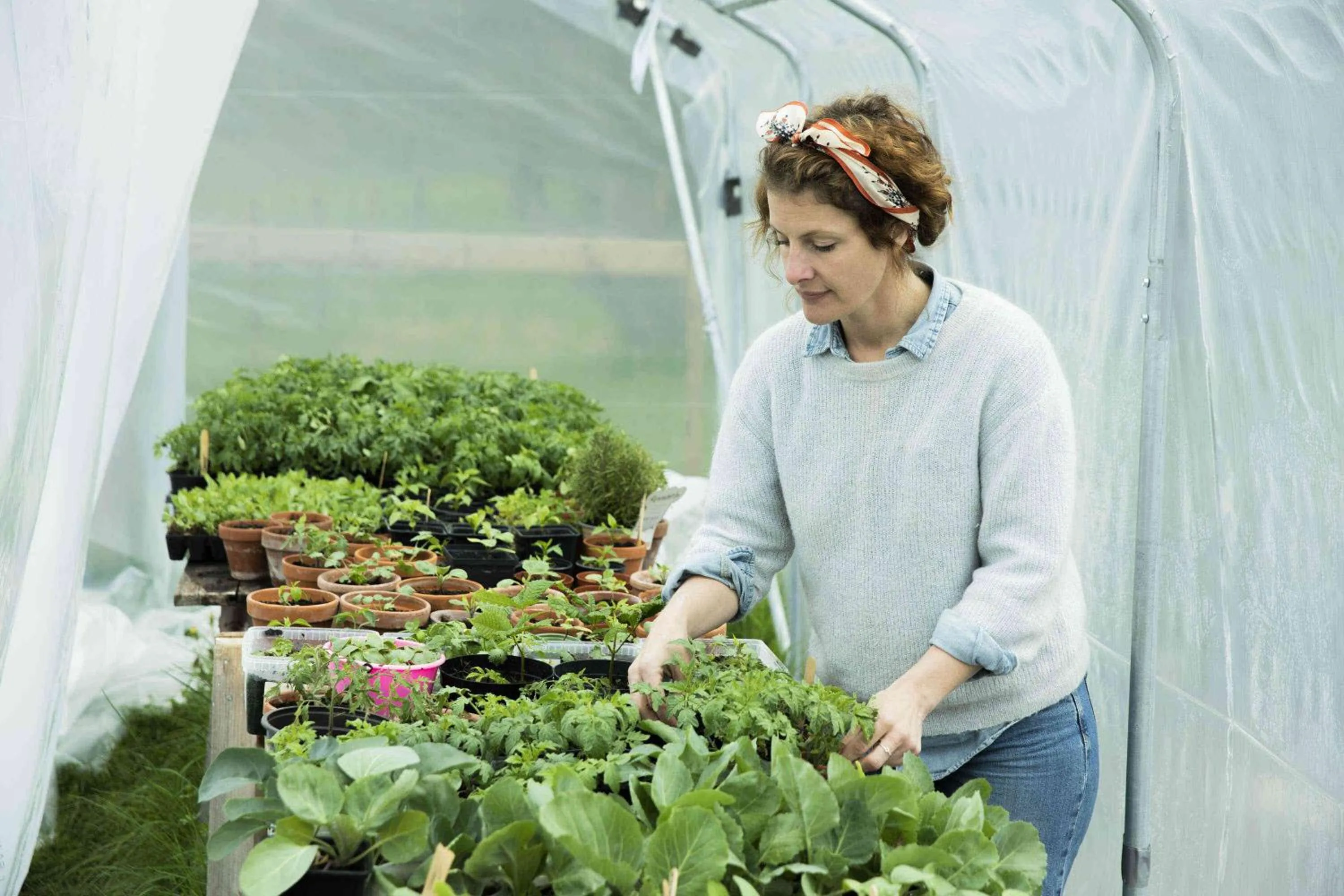 Restaurant/places to eat in Hotel Stelor