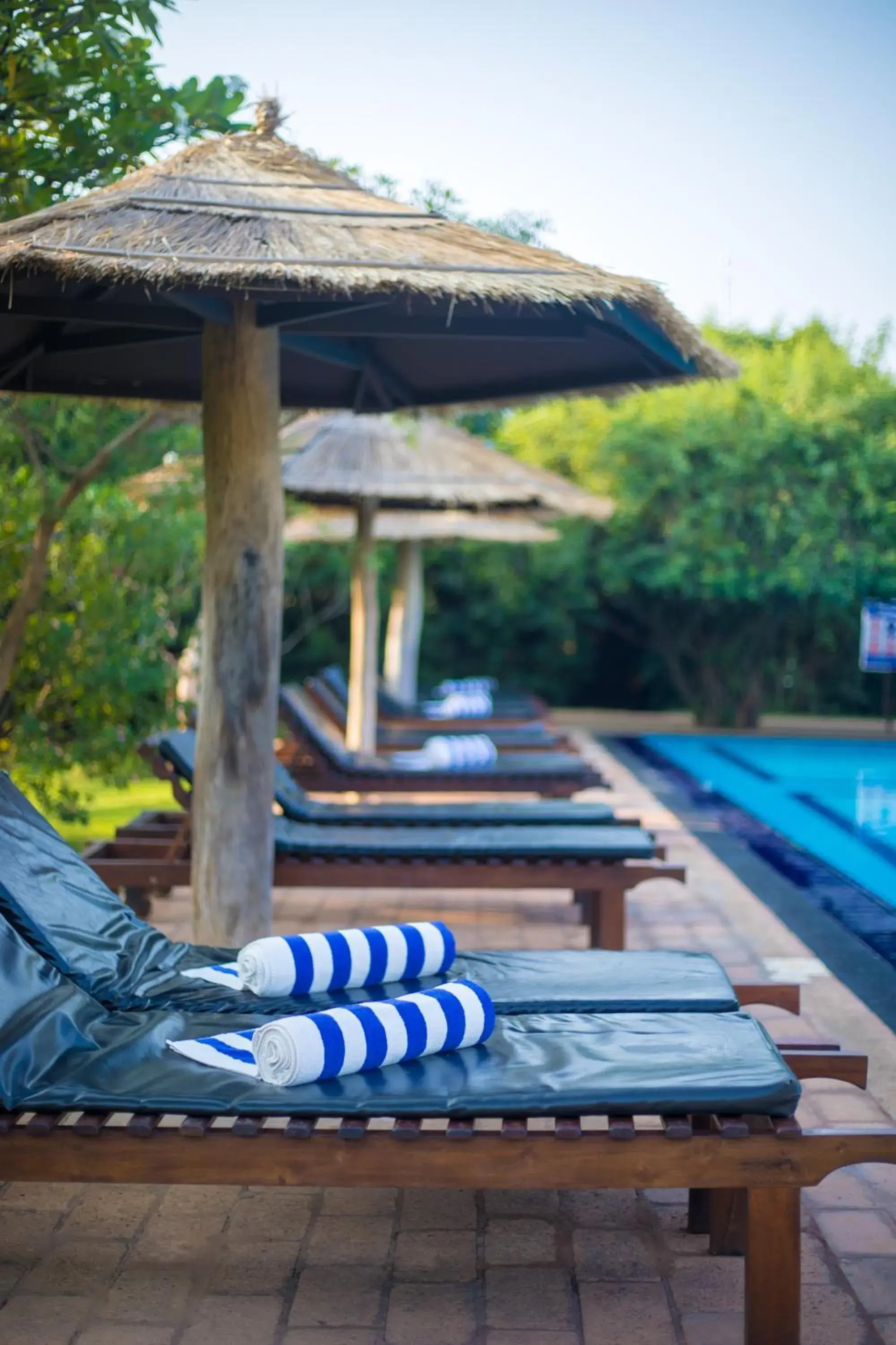 Swimming pool in Camellia Resort And Spa Swimming pool in Camellia Resort And Spa