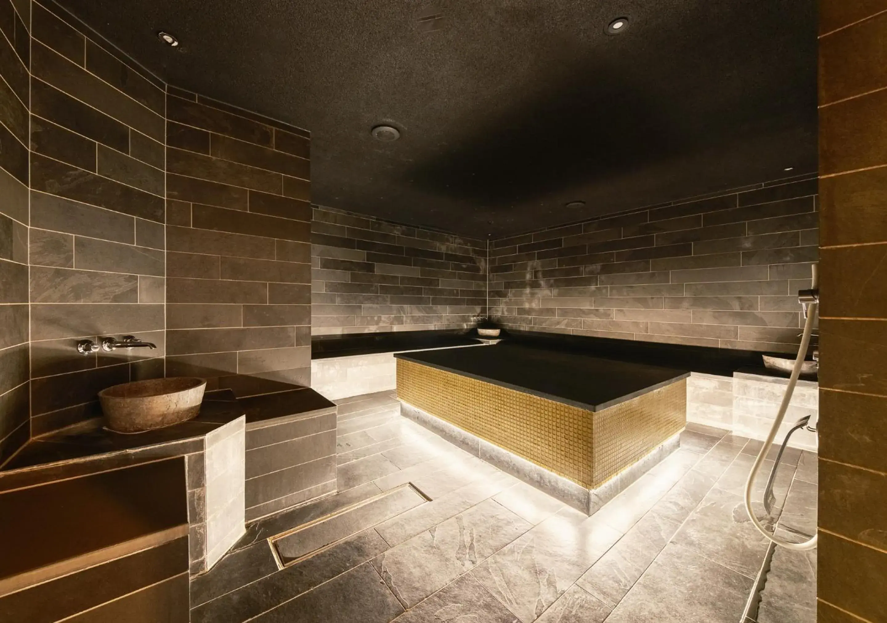 Spa and wellness centre/facilities in The Thief Spa and wellness centre/facilities in The Thief