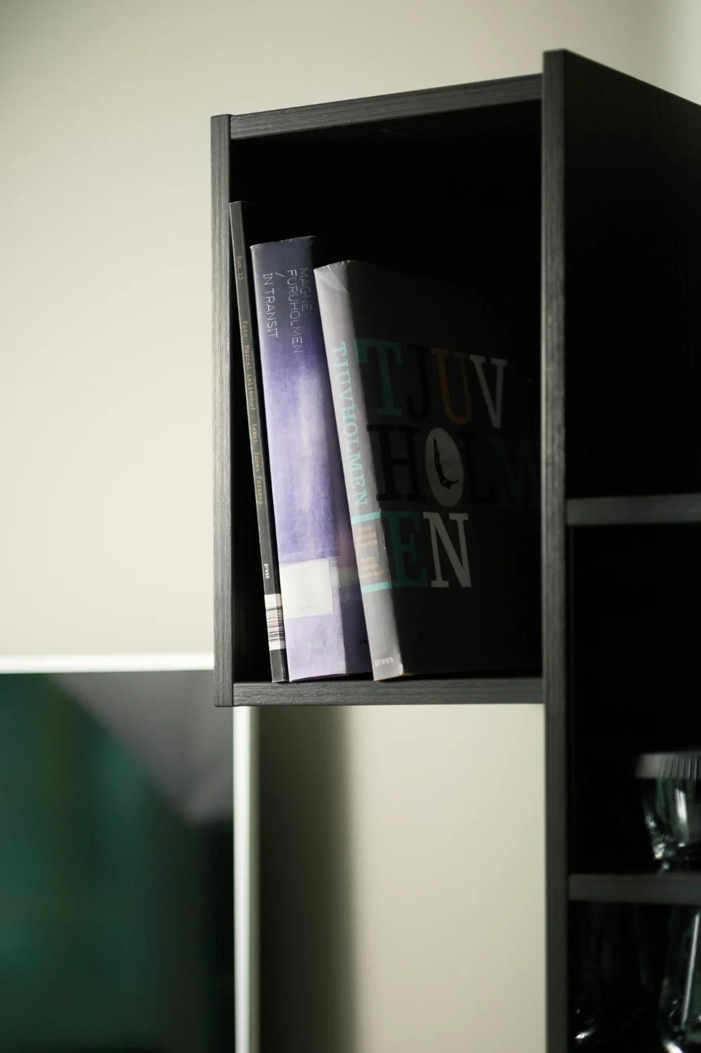 TV and multimedia in The Thief