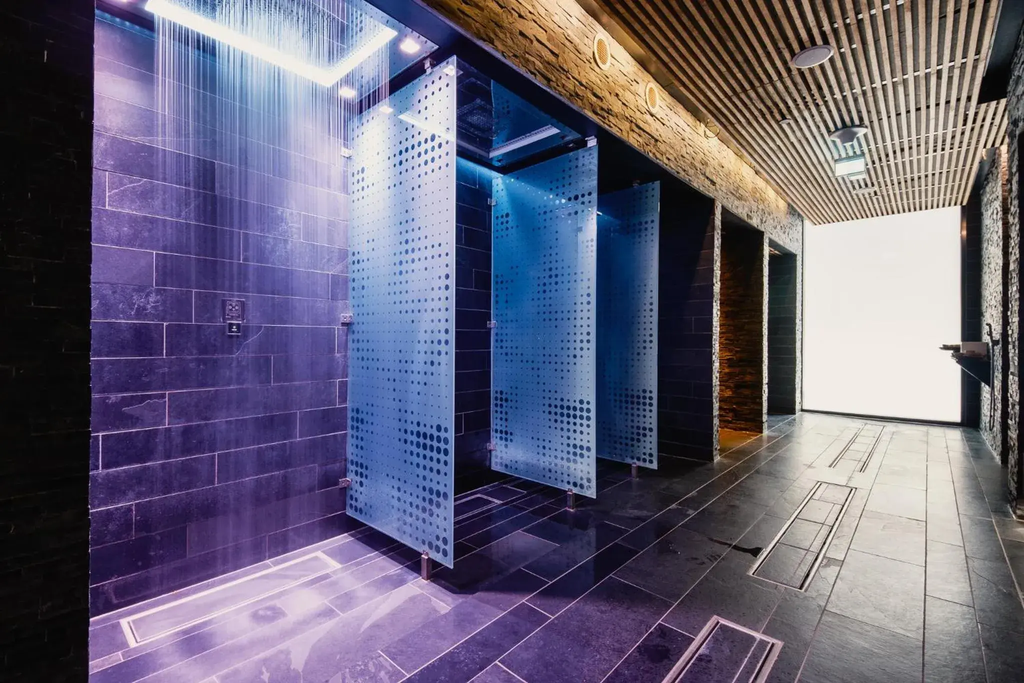 Spa and wellness centre/facilities in The Thief Spa and wellness centre/facilities in The Thief