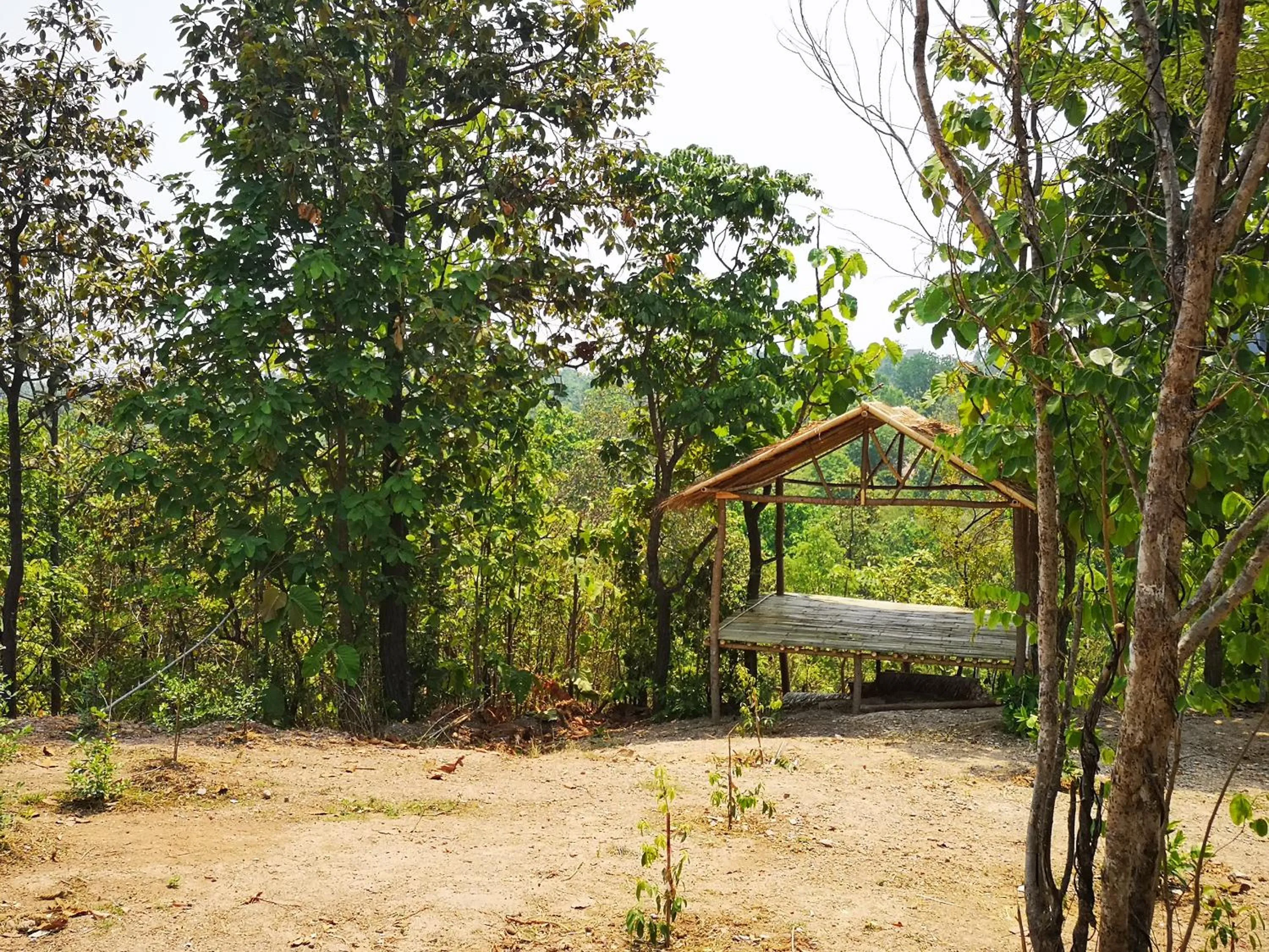 Natural landscape in Amaravati Wellness Center SHA Plus