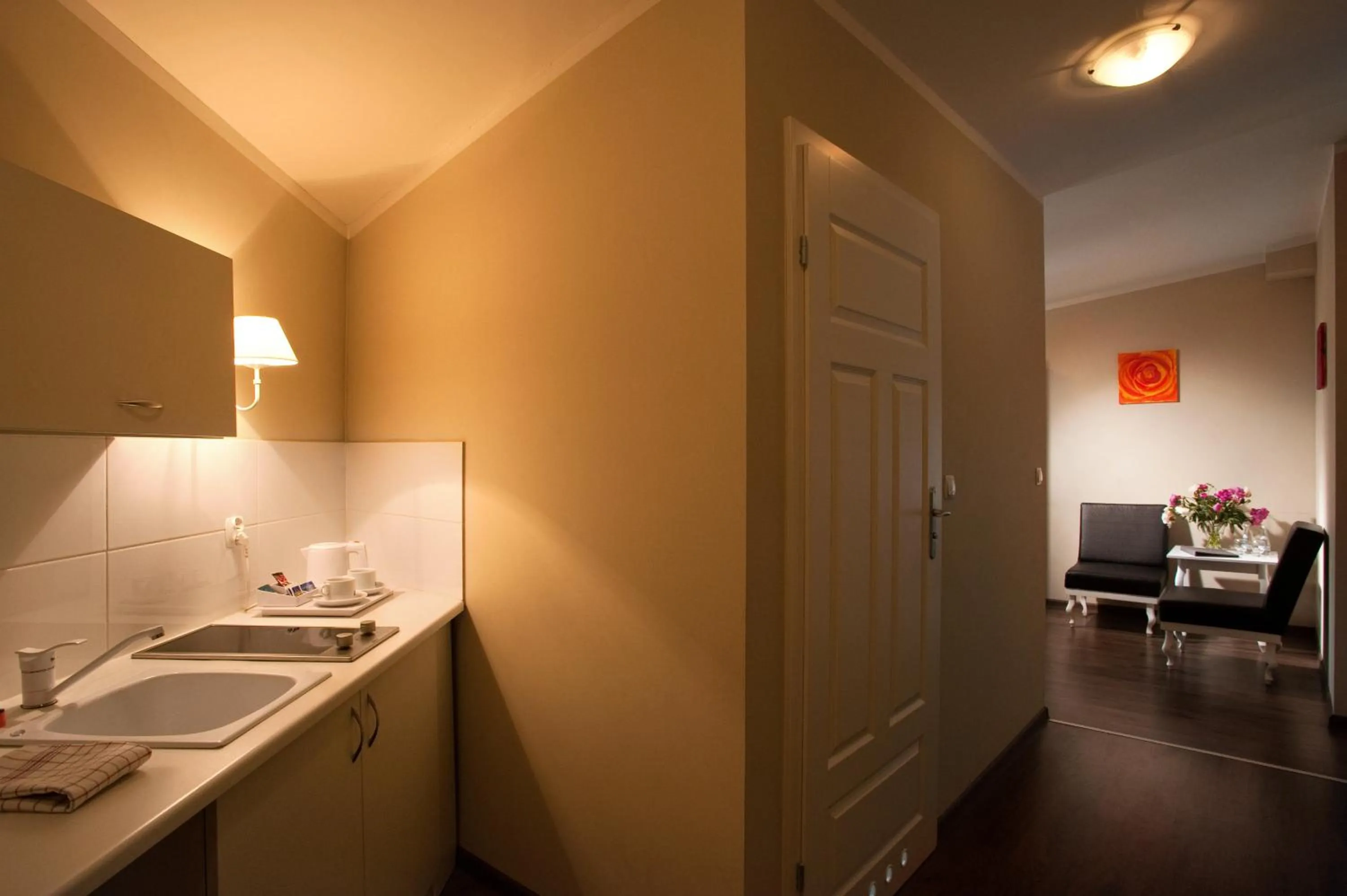 Kitchen or kitchenette in Leone Aparthotel