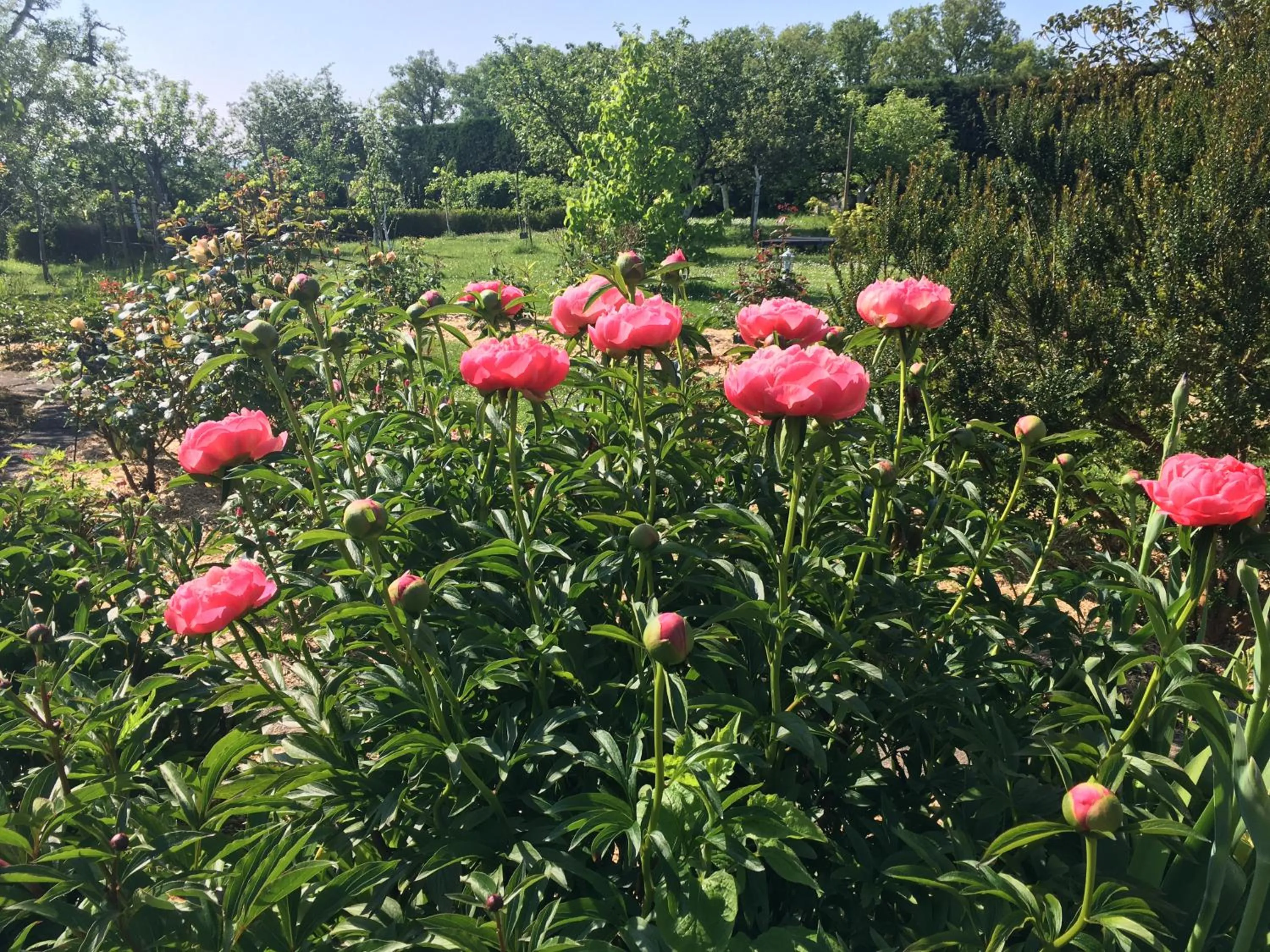 View (from property/room) in Domaine de la Botterie