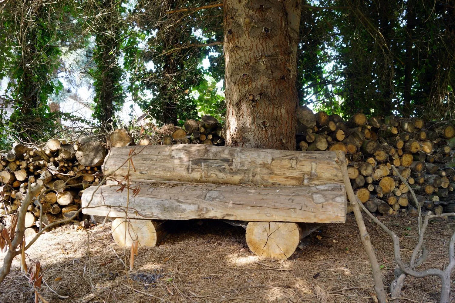 Garden in Hotel Villa Wittstock