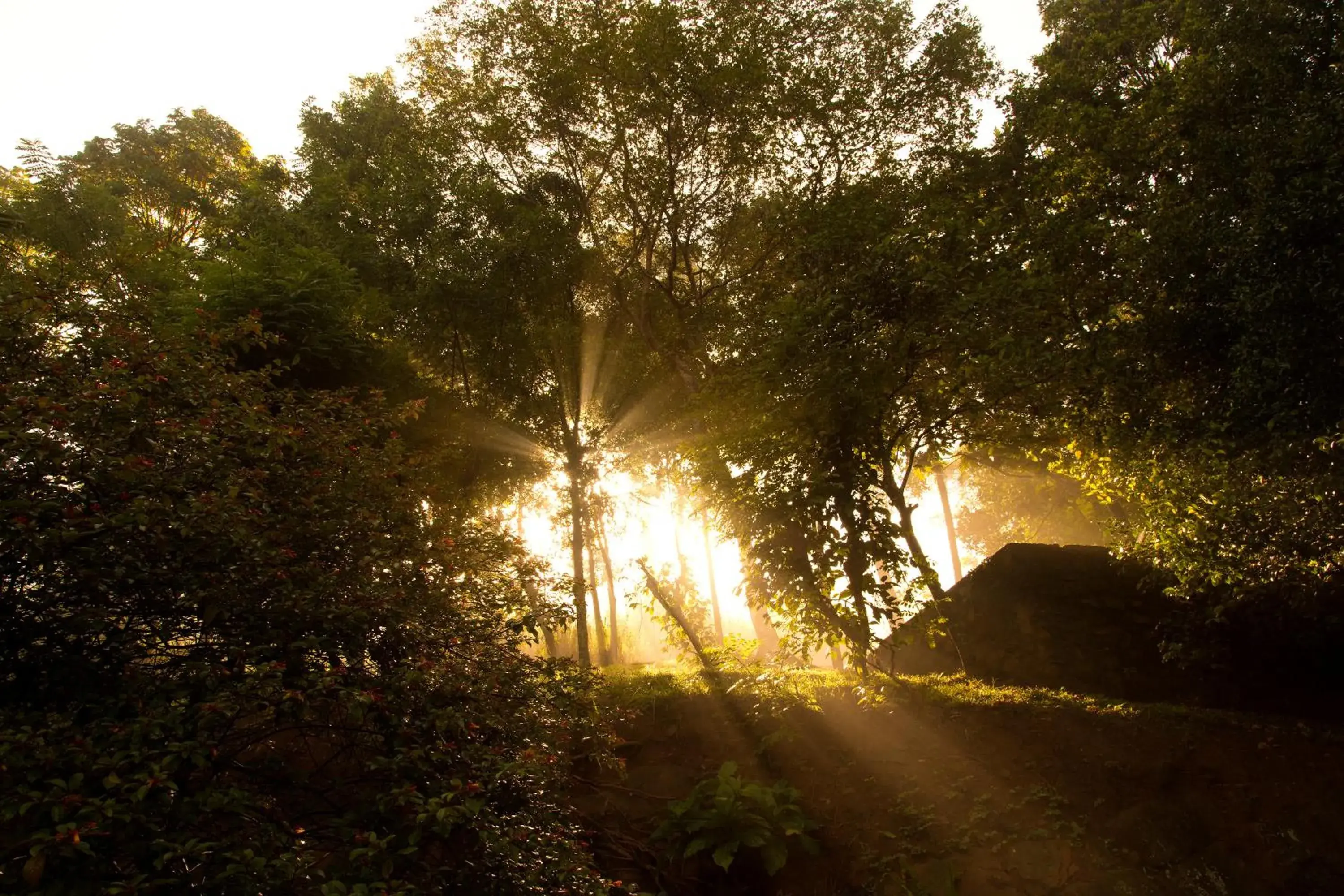 Facade/entrance in Hanthana Boutique Villa by Amaya Facade/entrance in Hanthana Boutique Villa by Amaya