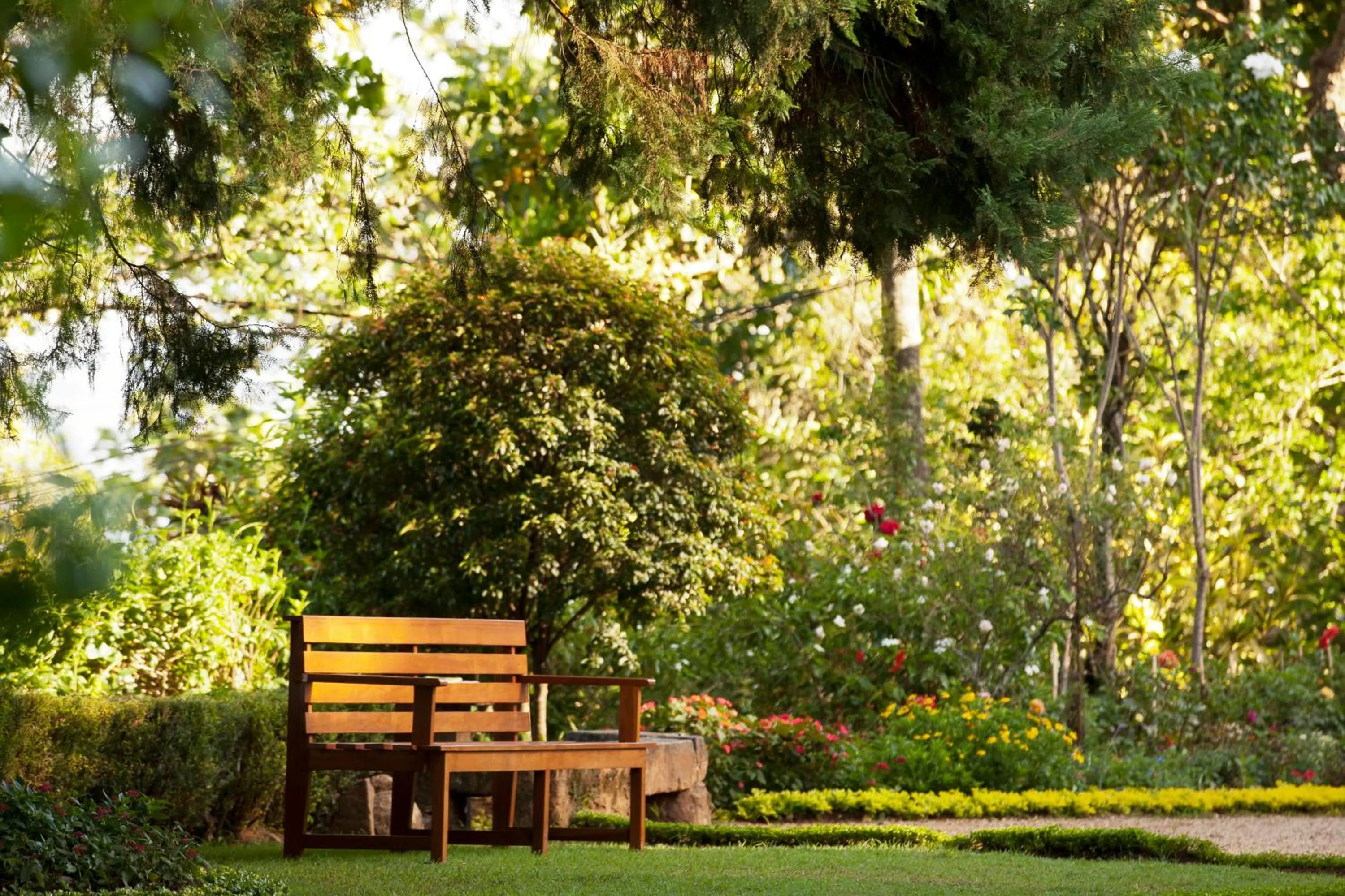 Neighbourhood in Hanthana Boutique Villa by Amaya