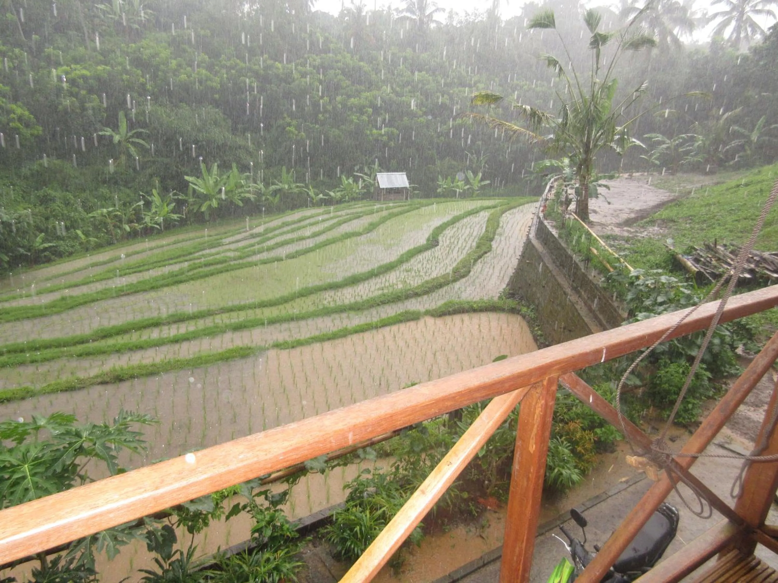 Natural landscape in Babahan Farmstay