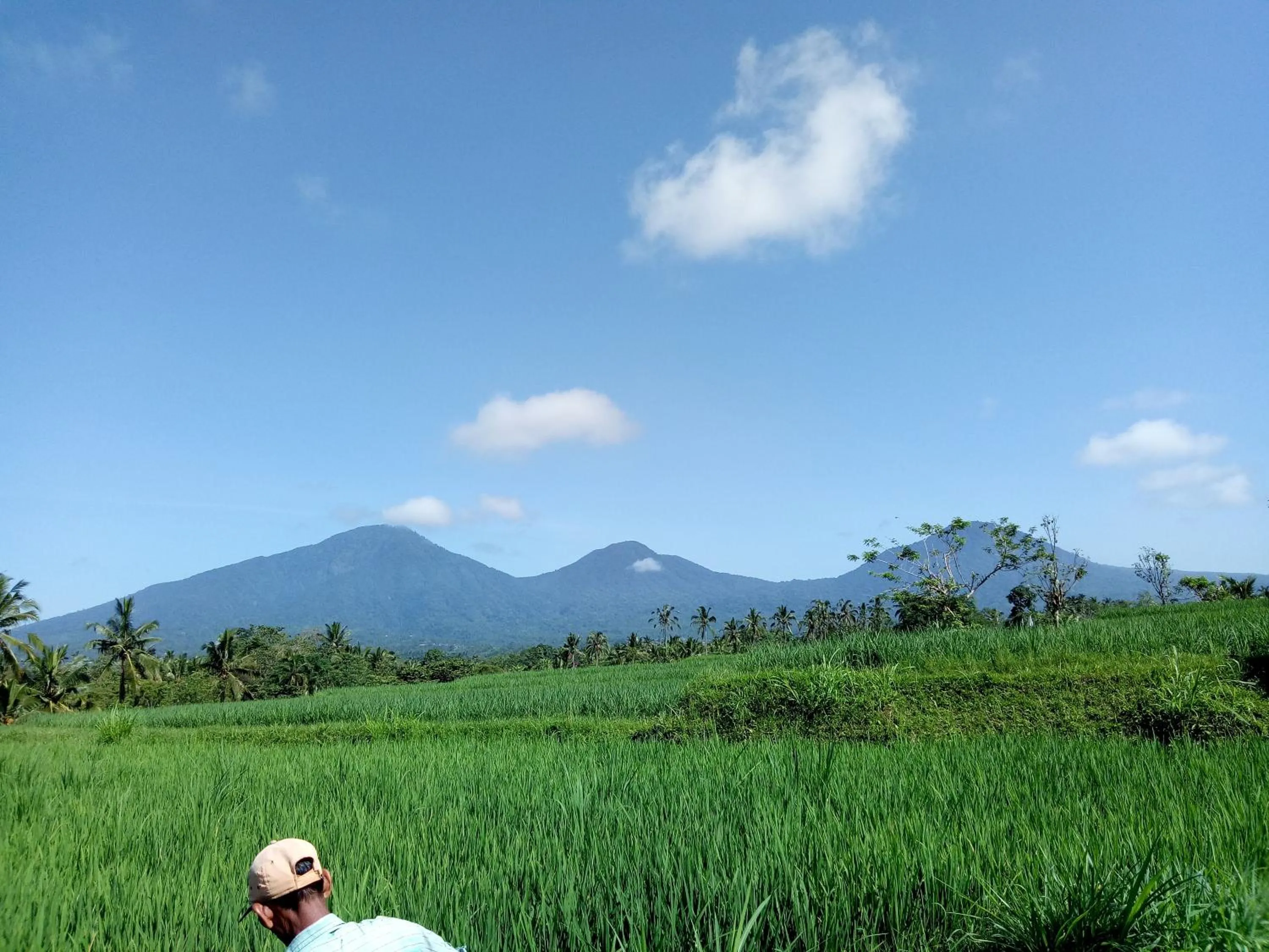 Nearby landmark in Babahan Farmstay