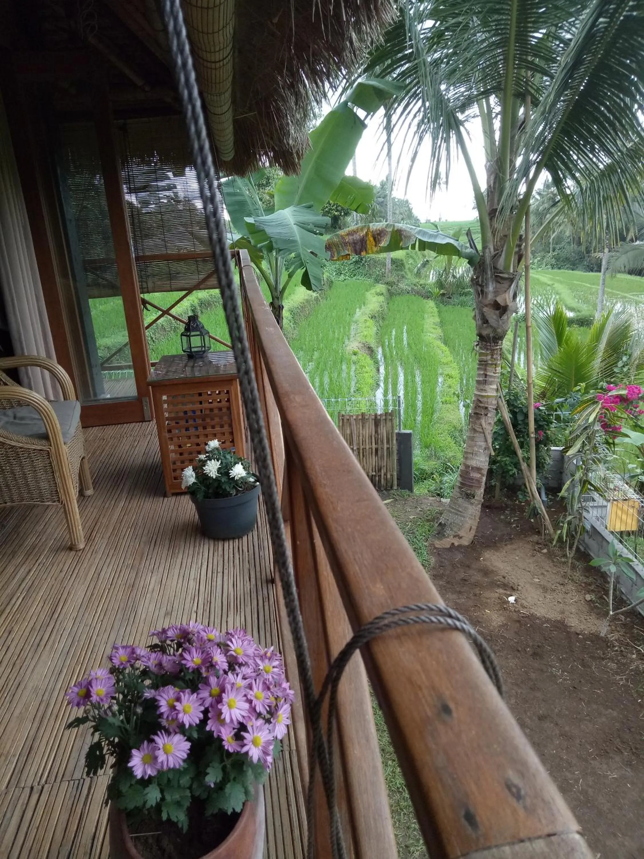 Property building in Babahan Farmstay