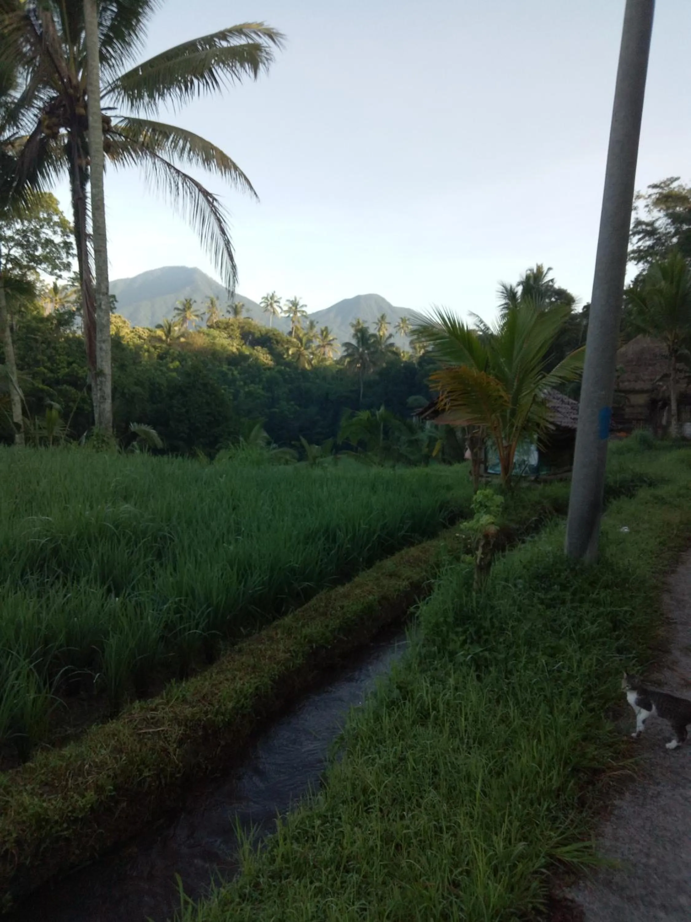 Nearby landmark in Babahan Farmstay
