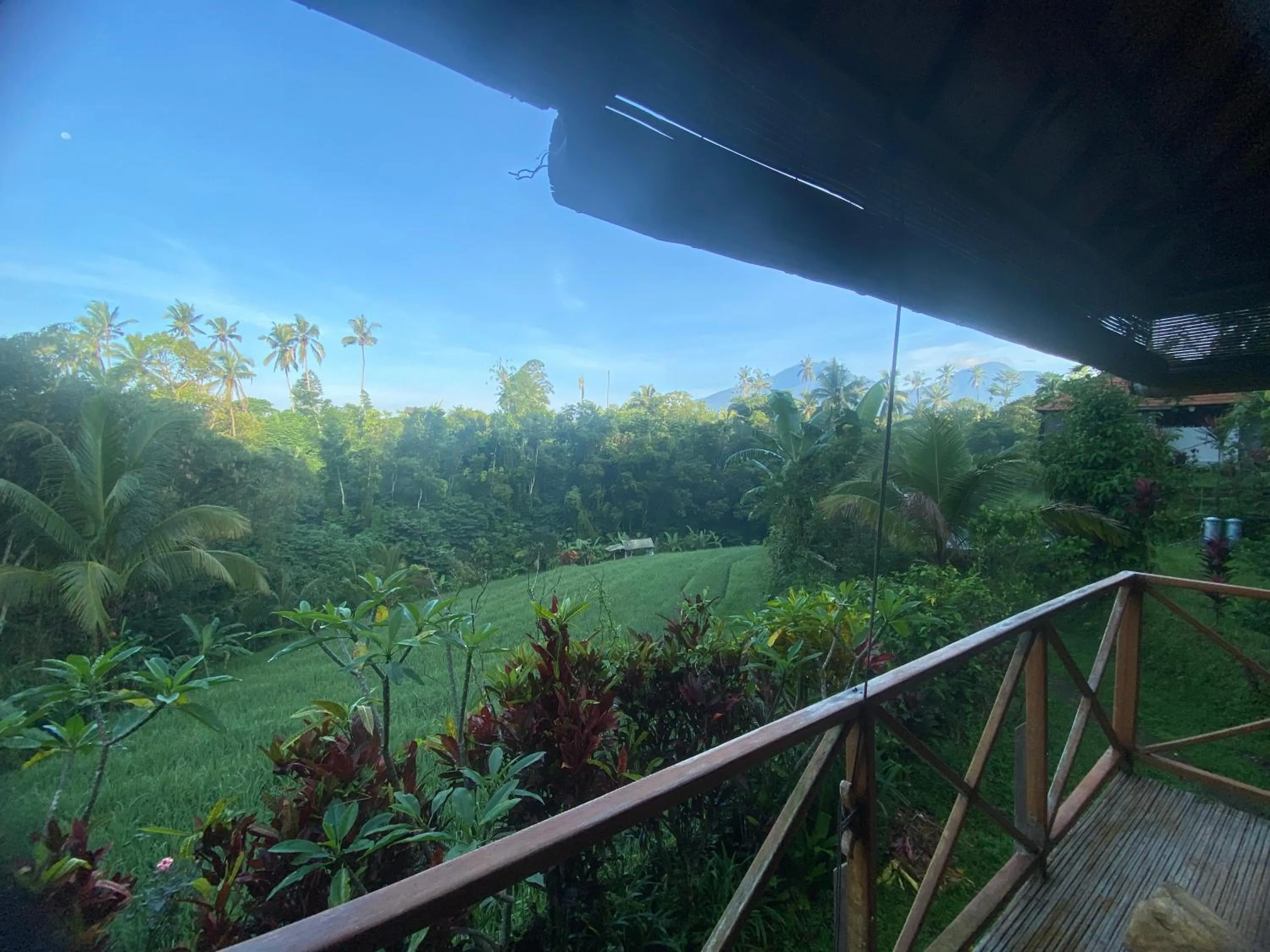 Balcony/Terrace in Babahan Farmstay