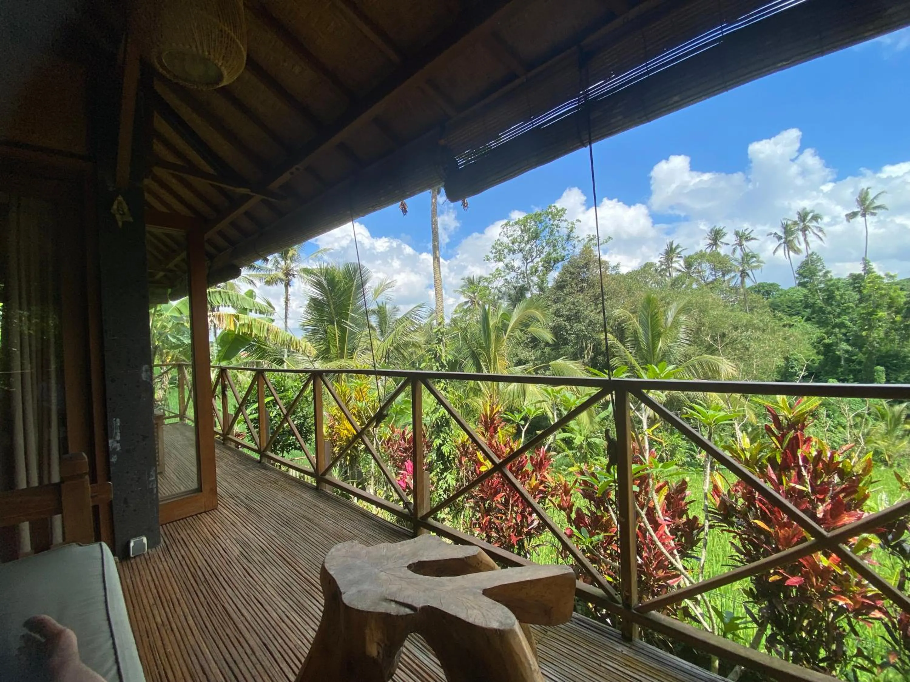 Garden view in Babahan Farmstay