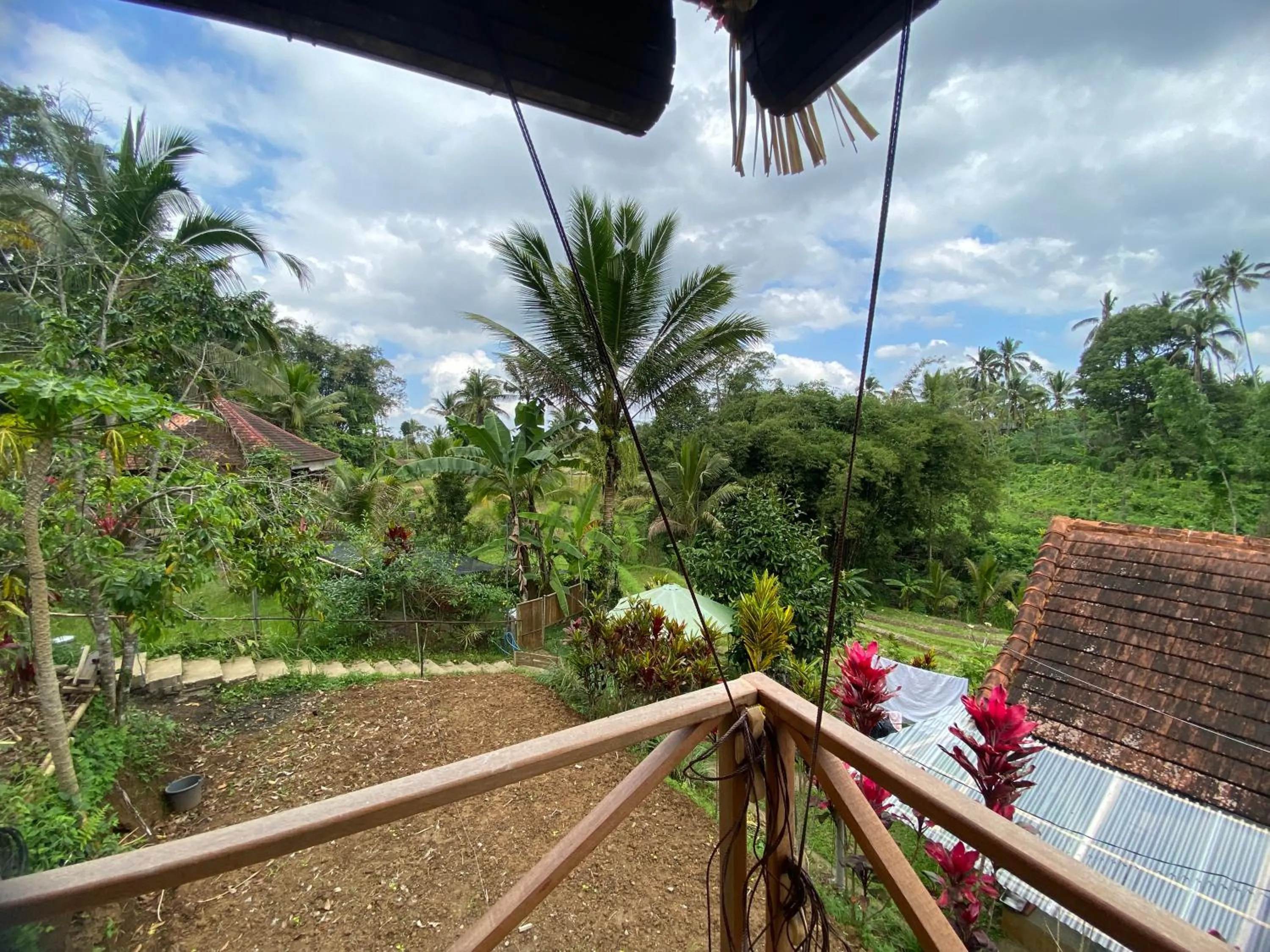 Garden view in Babahan Farmstay