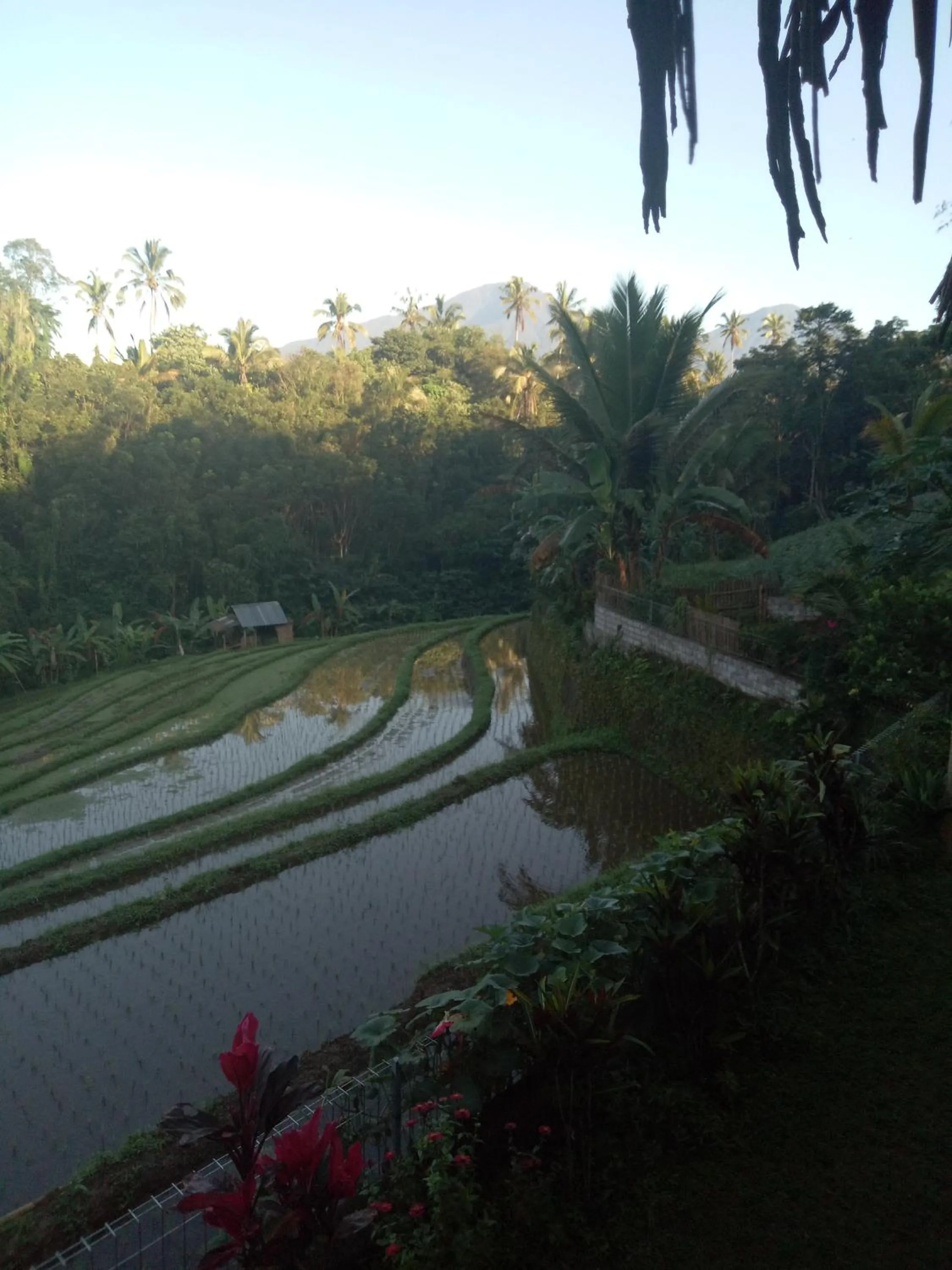 Natural landscape in Babahan Farmstay