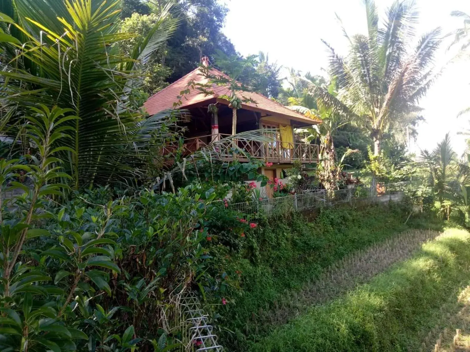Babahan Farmstay Babahan Farmstay