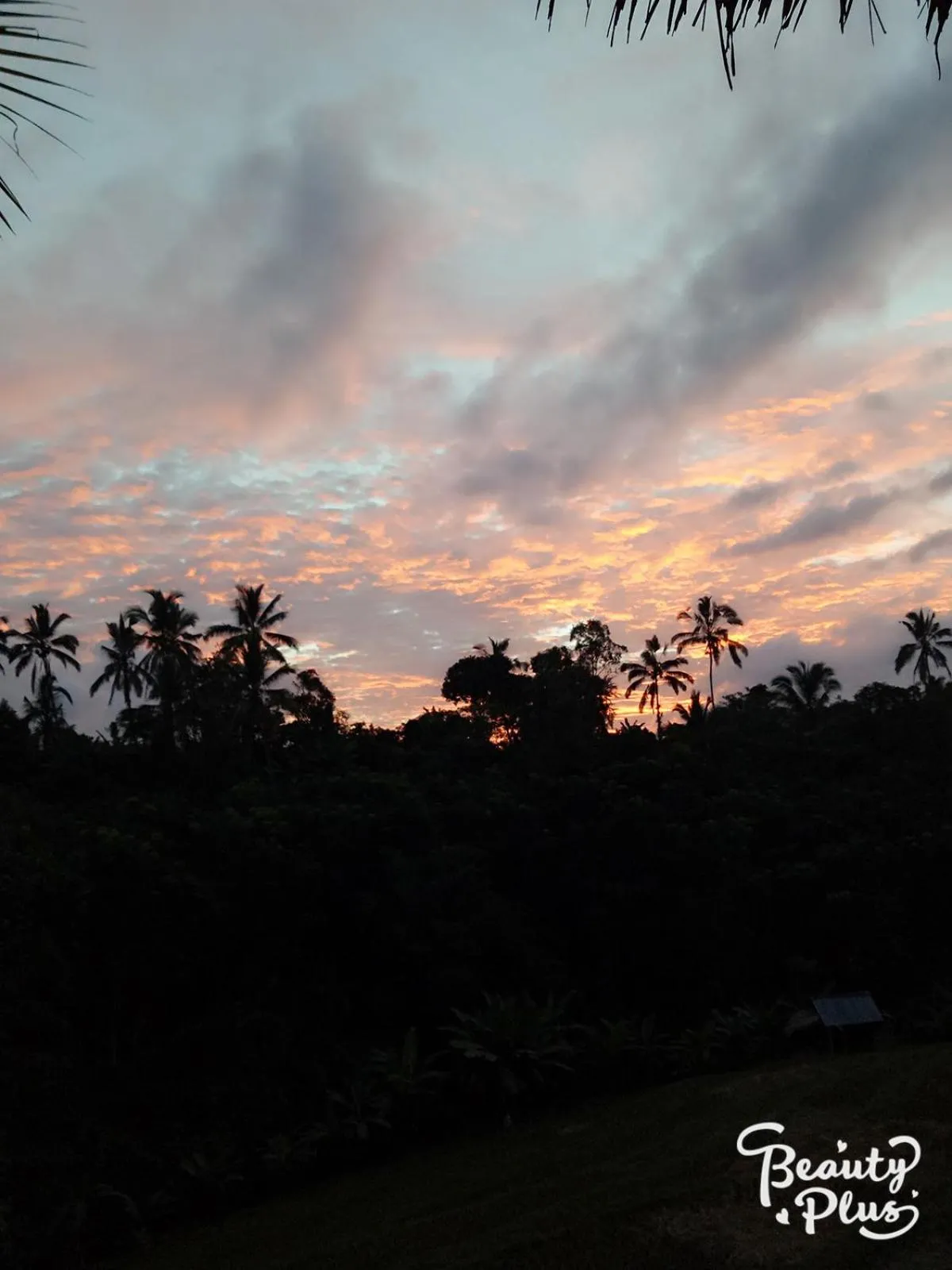 Babahan Farmstay