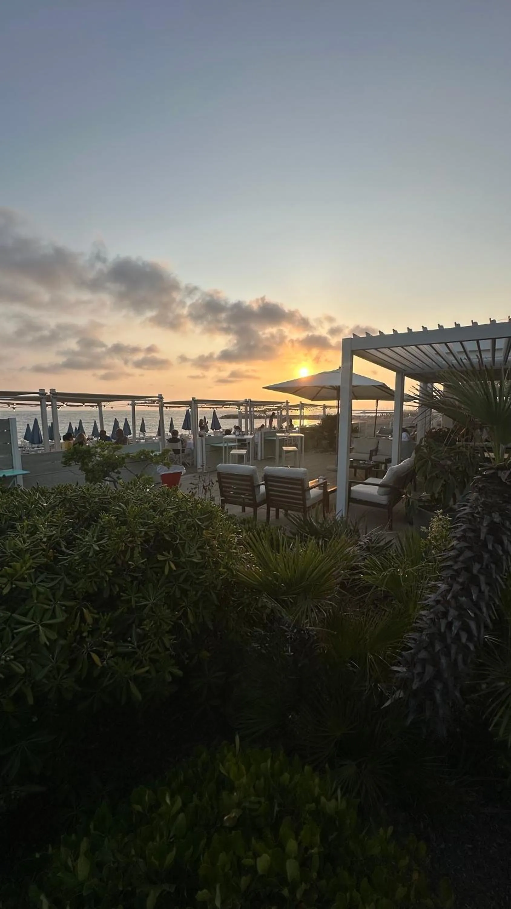 Restaurant/places to eat in Hotel Stella Marina