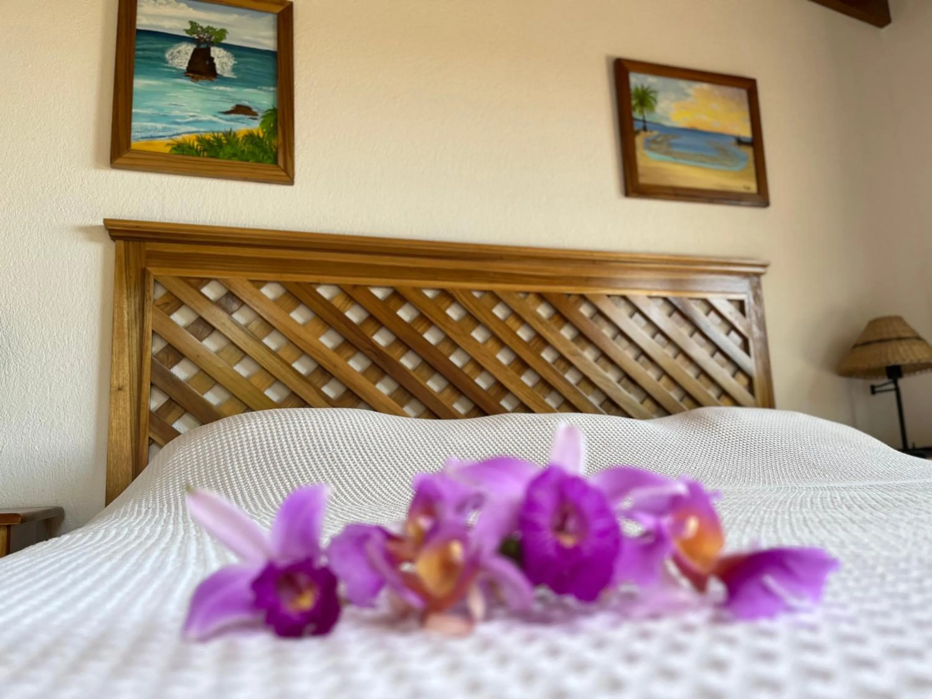 Bed in Hotel Los Cielos Del Caribe