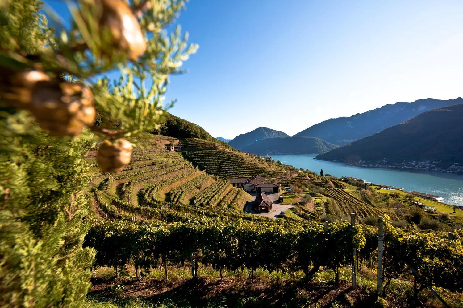 Natural landscape in Relais Castello di Morcote