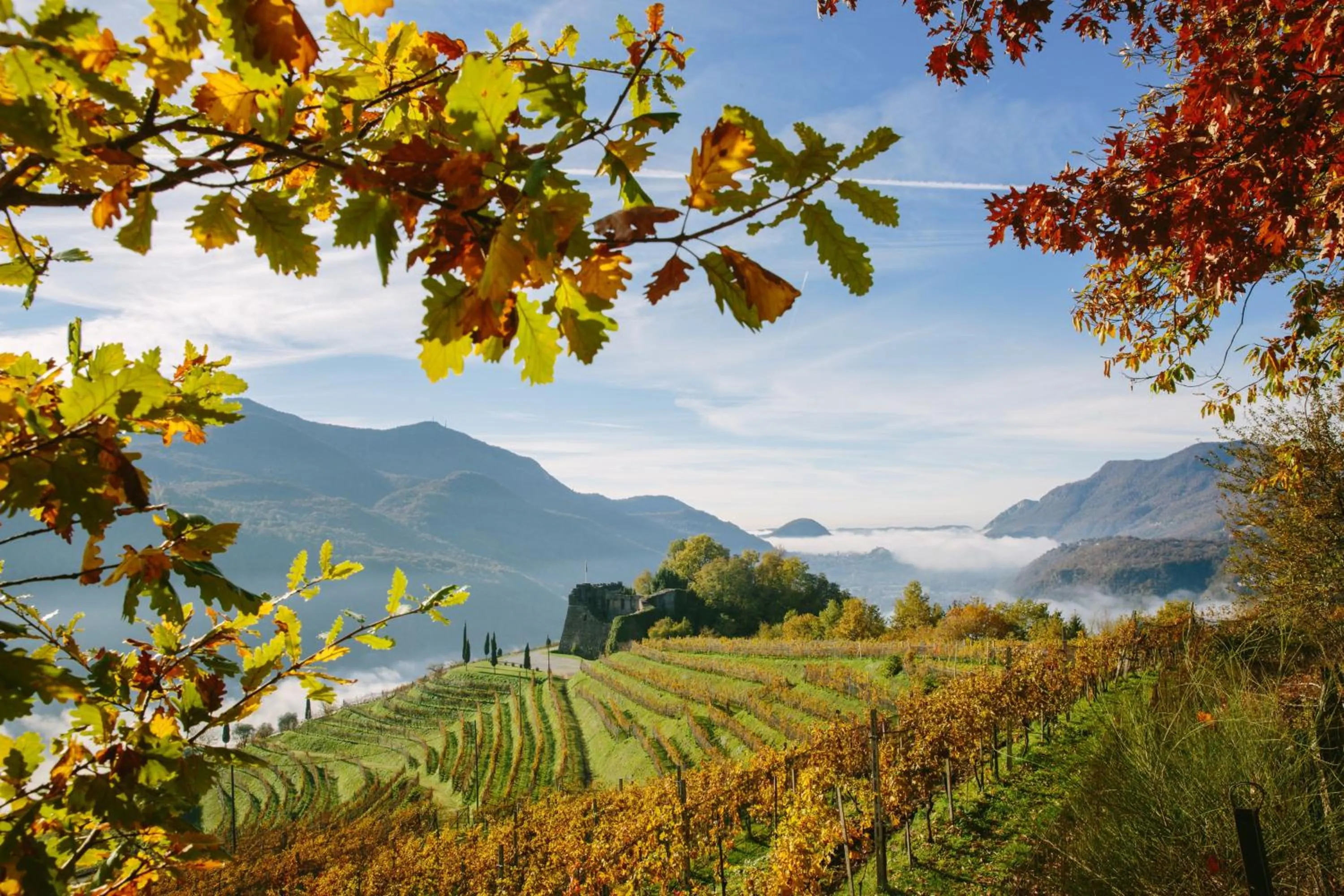 Property building in Relais Castello di Morcote