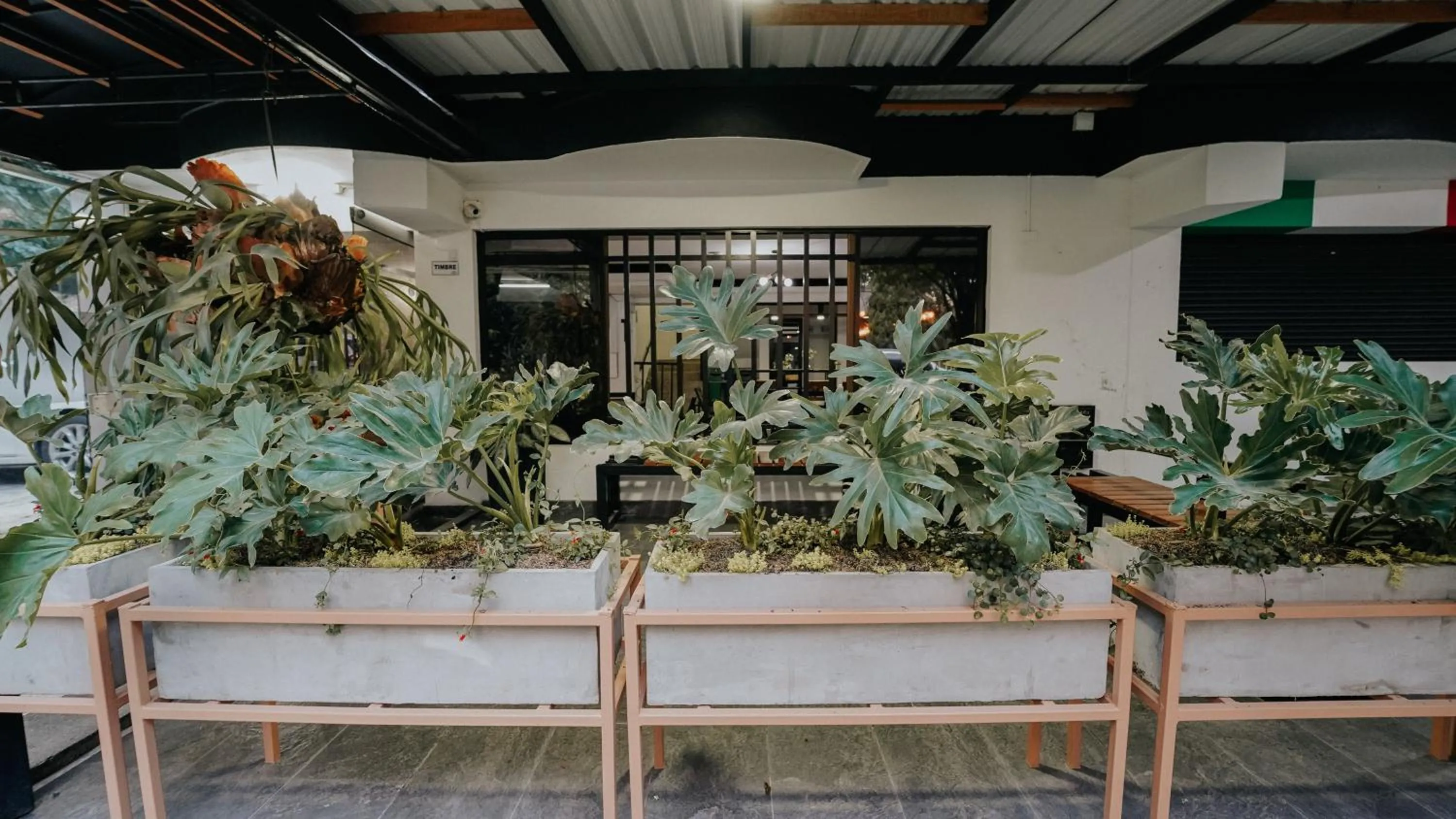 Day in Hotel Balcones del Estadio