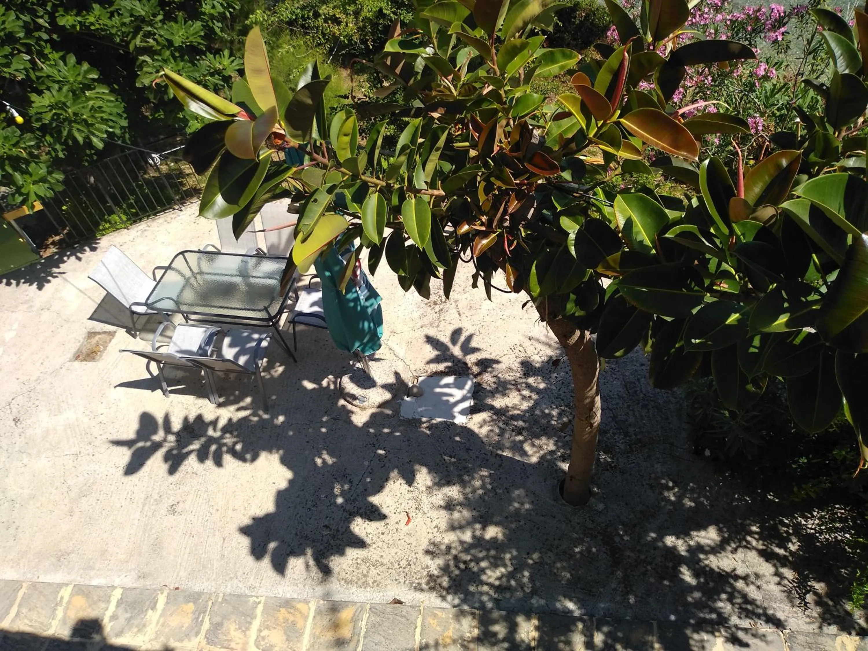 mare di zante "mare di levante"