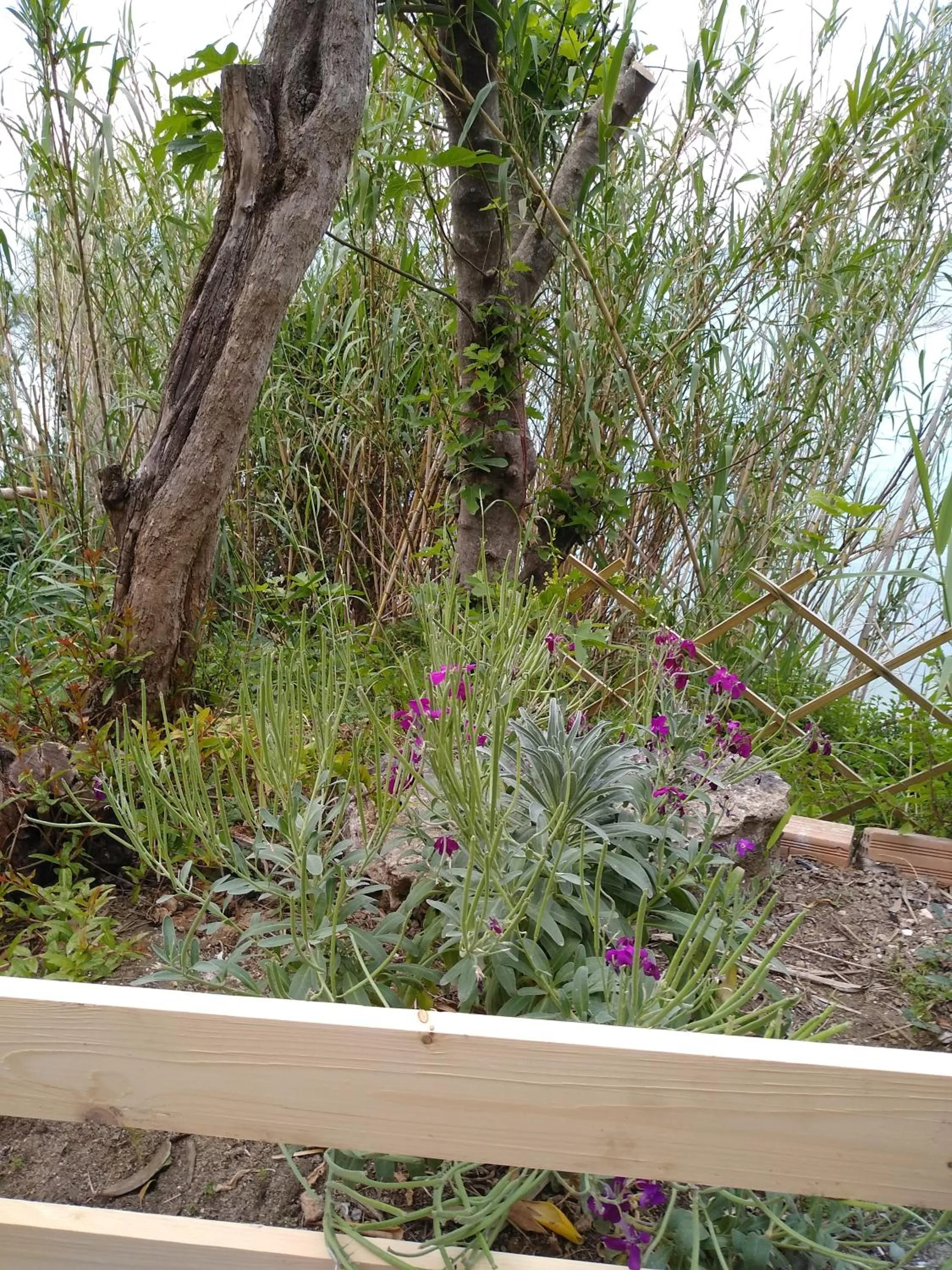 Garden in mare di zante "mare di levante"