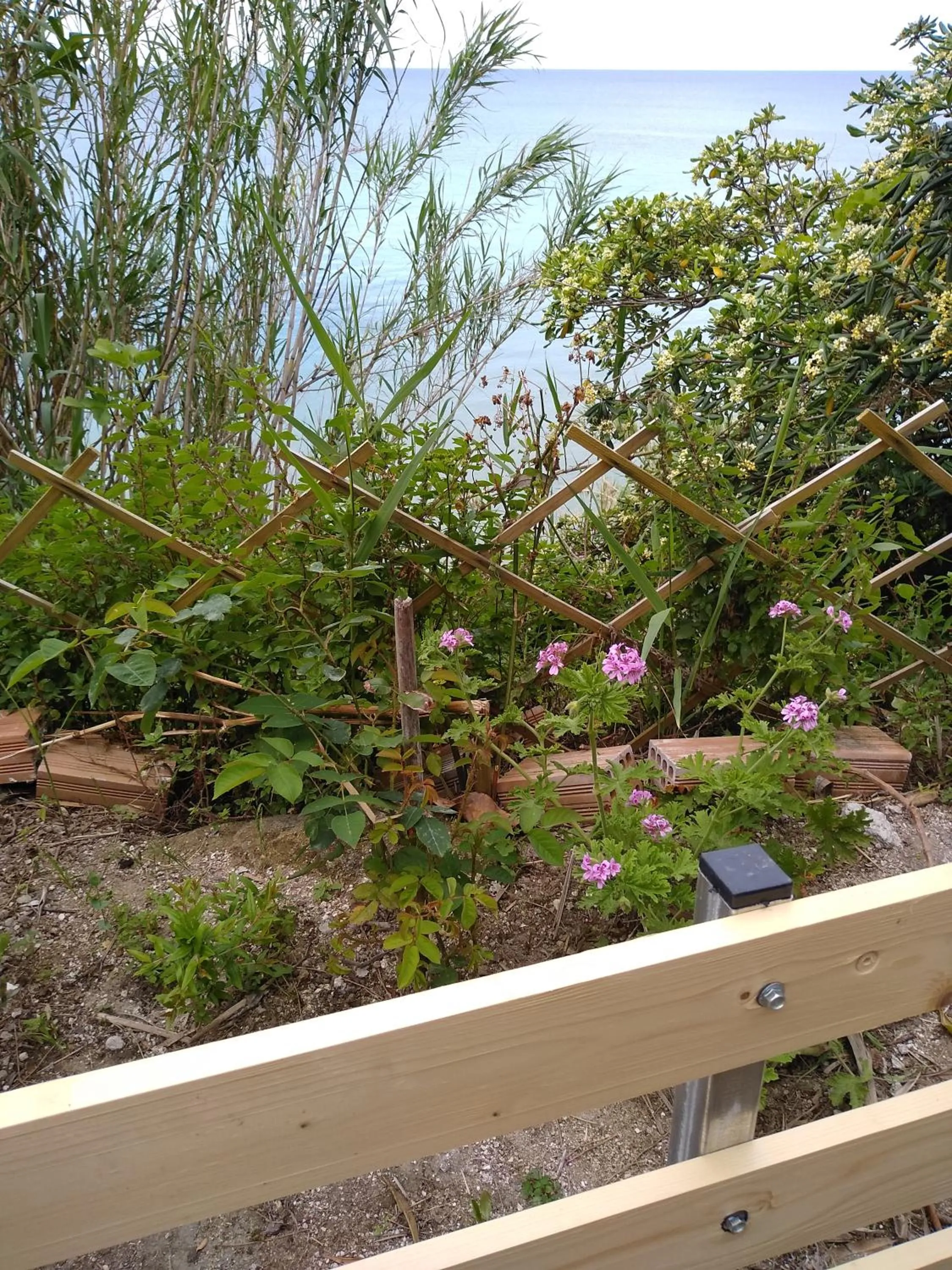 mare di zante "mare di levante"