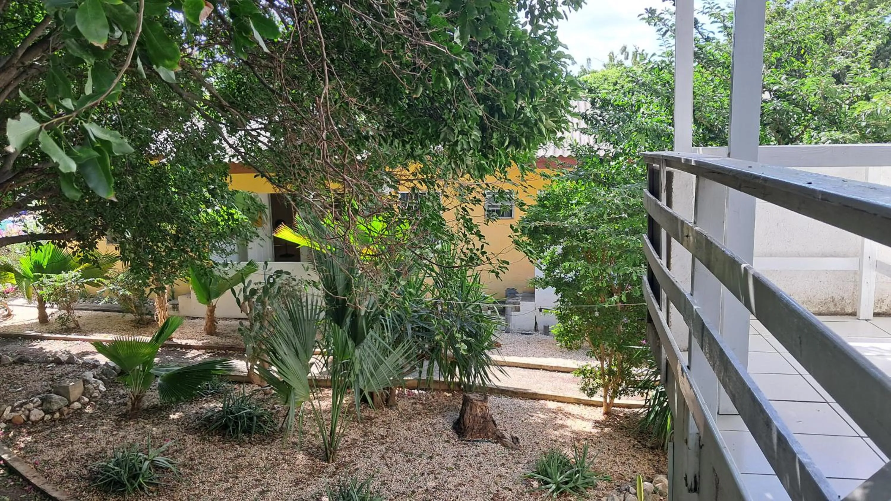 Happy Turtle Apartments