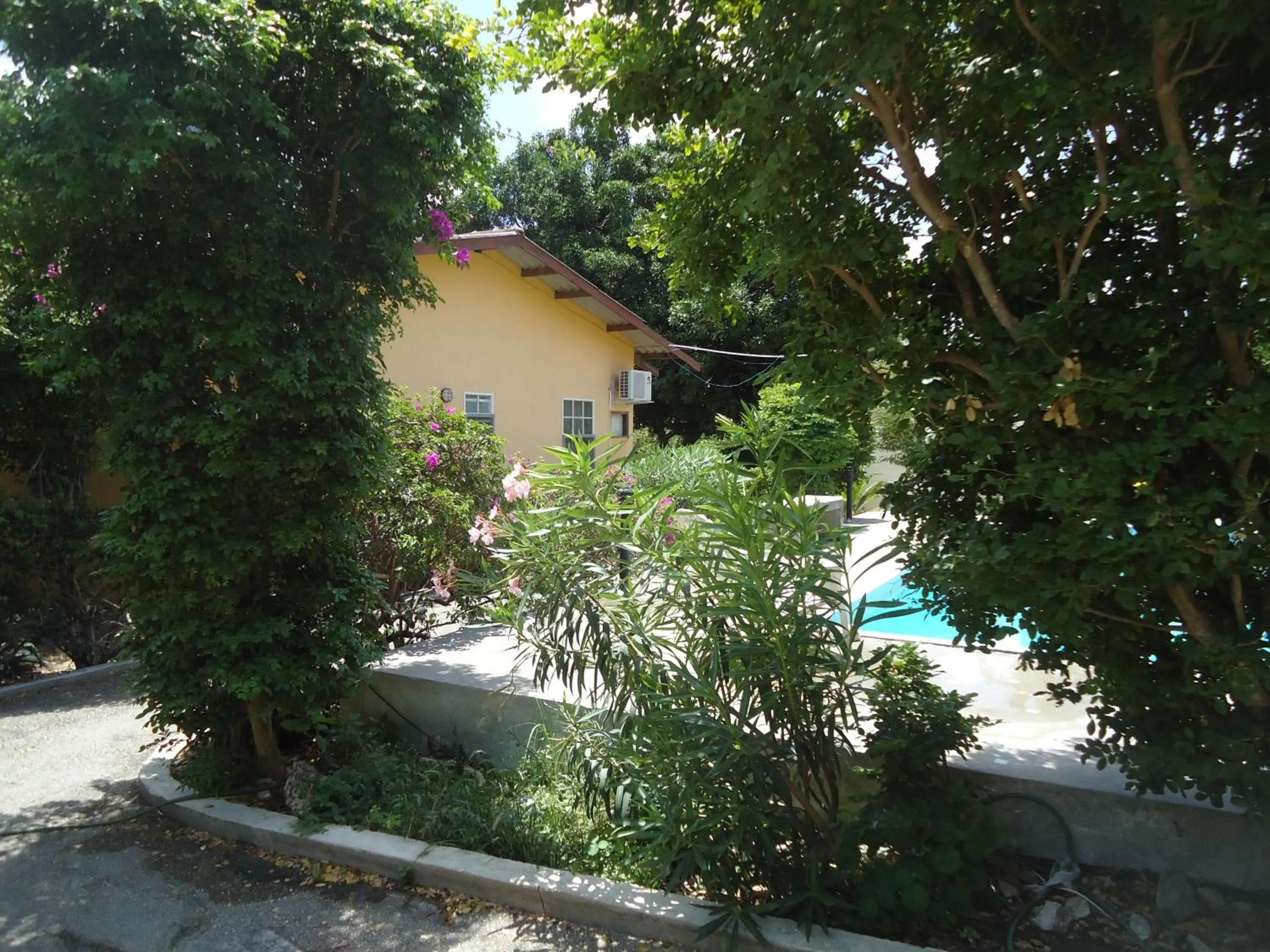 Day in Happy Turtle Apartments