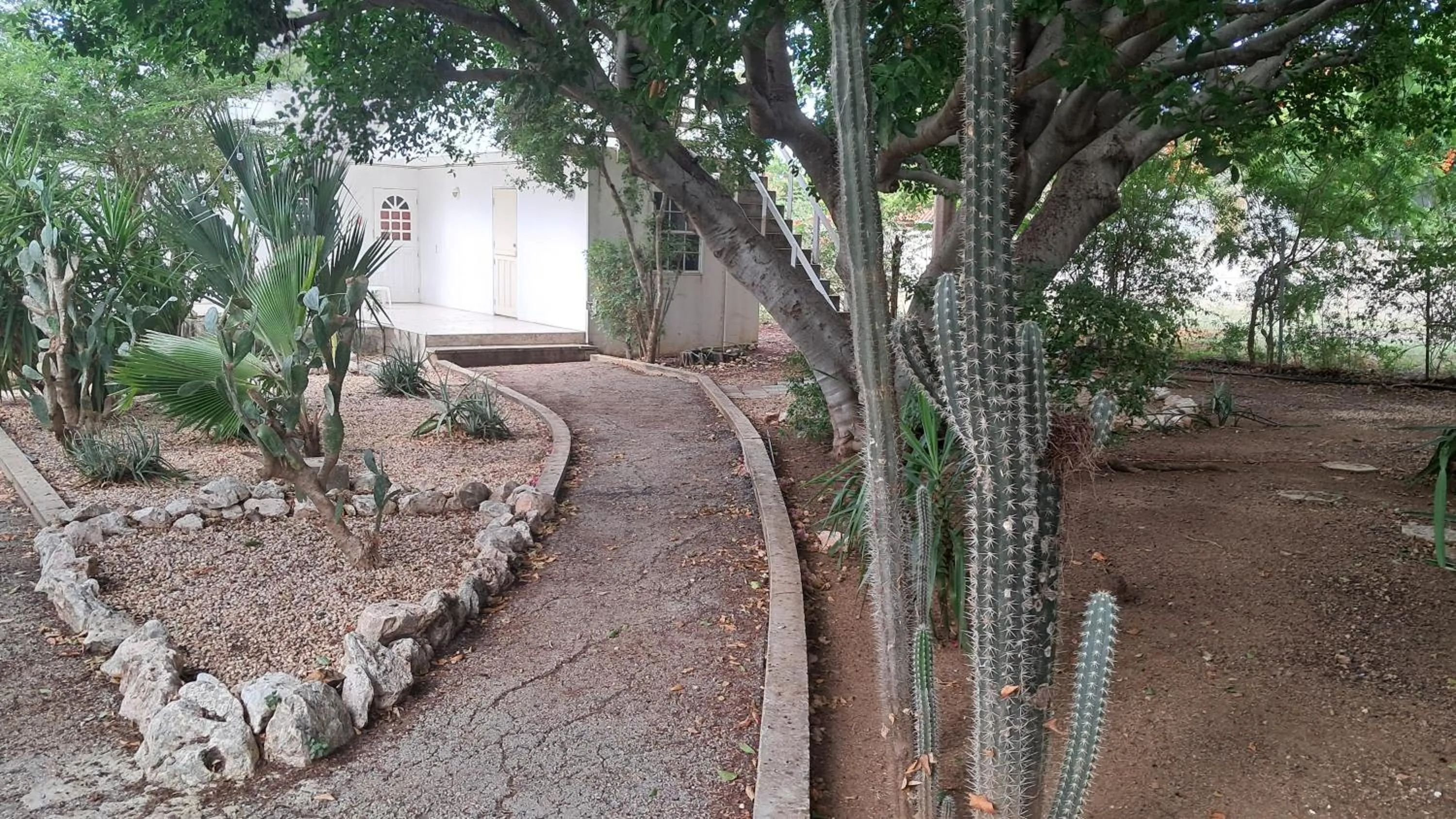 Garden in Happy Turtle Apartments