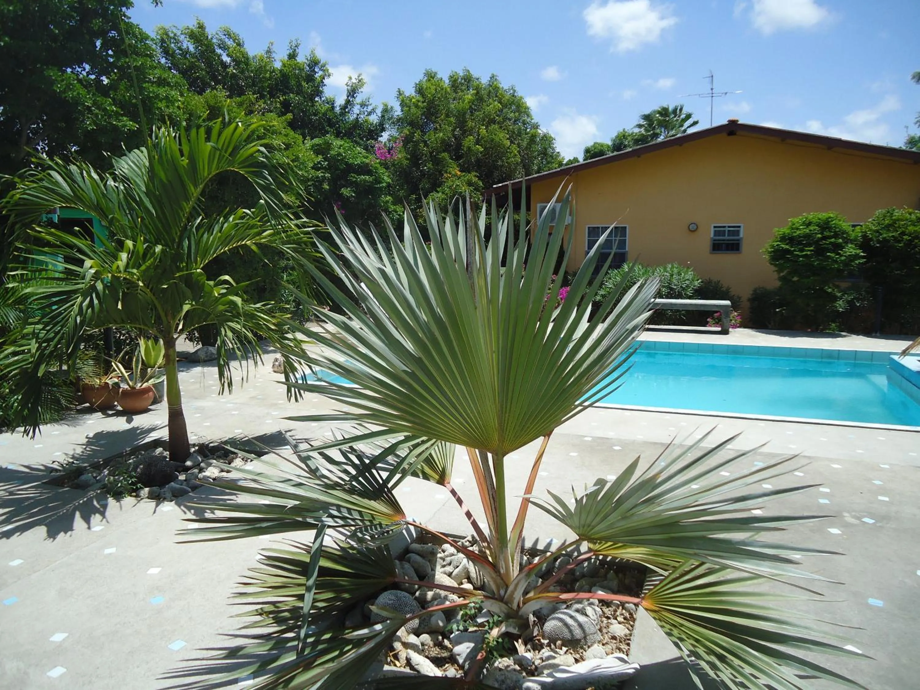 Day in Happy Turtle Apartments