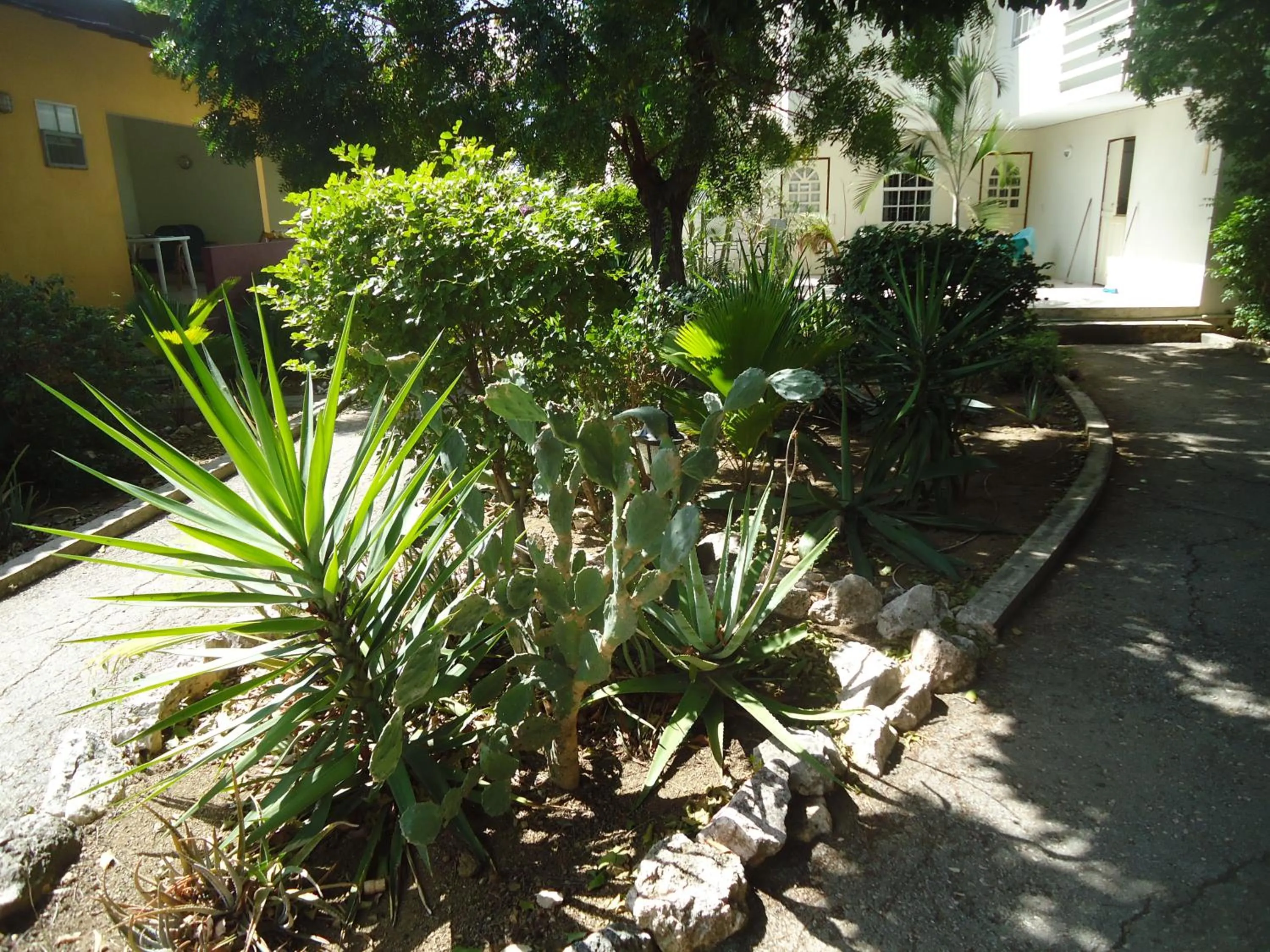 Day in Happy Turtle Apartments