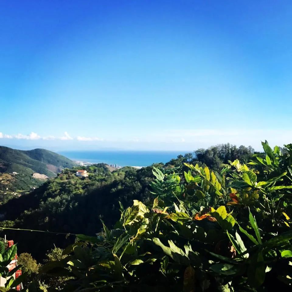 View (from property/room) in La Riggiola