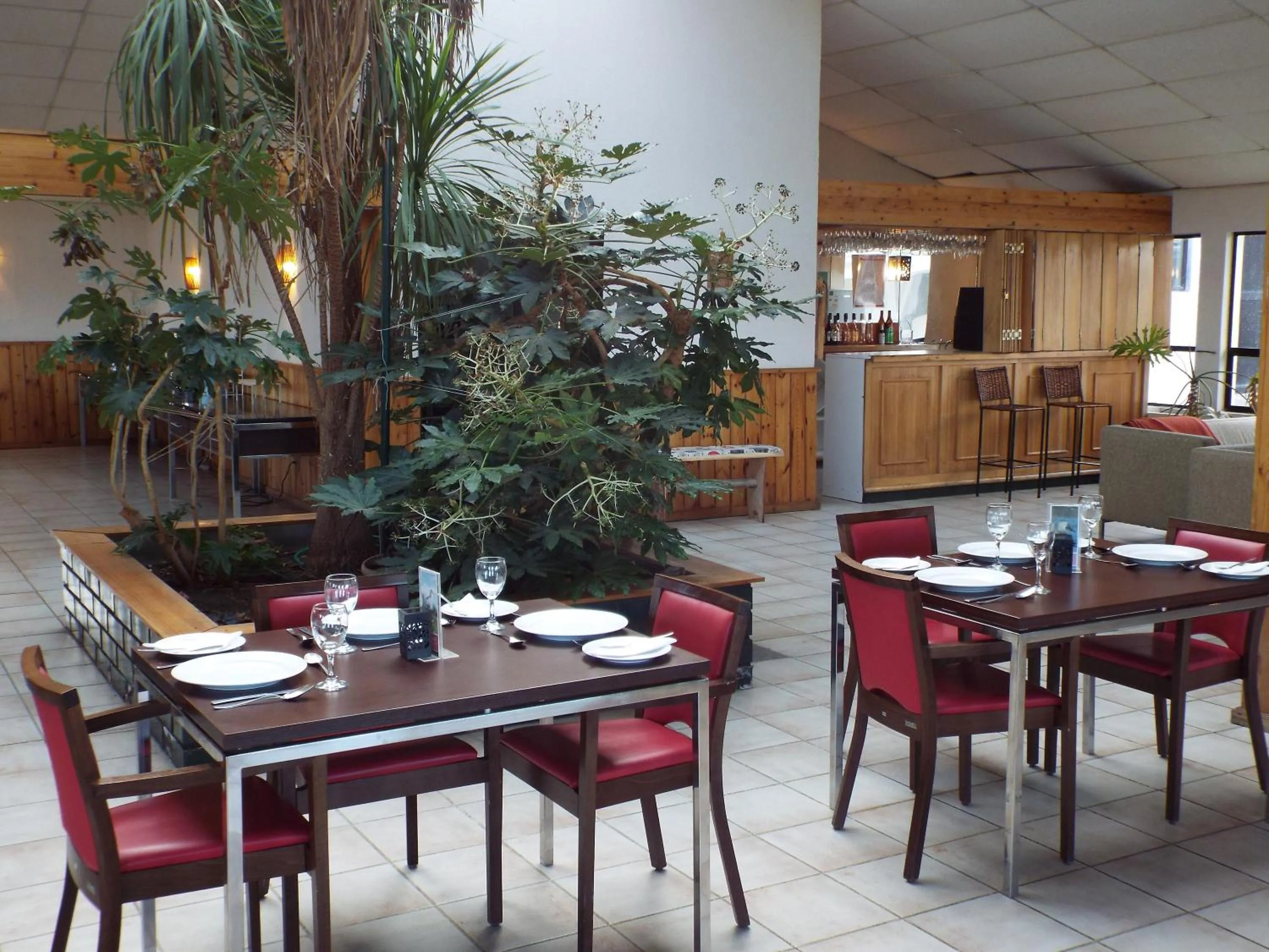 Food and drinks in Hotel HD Natales