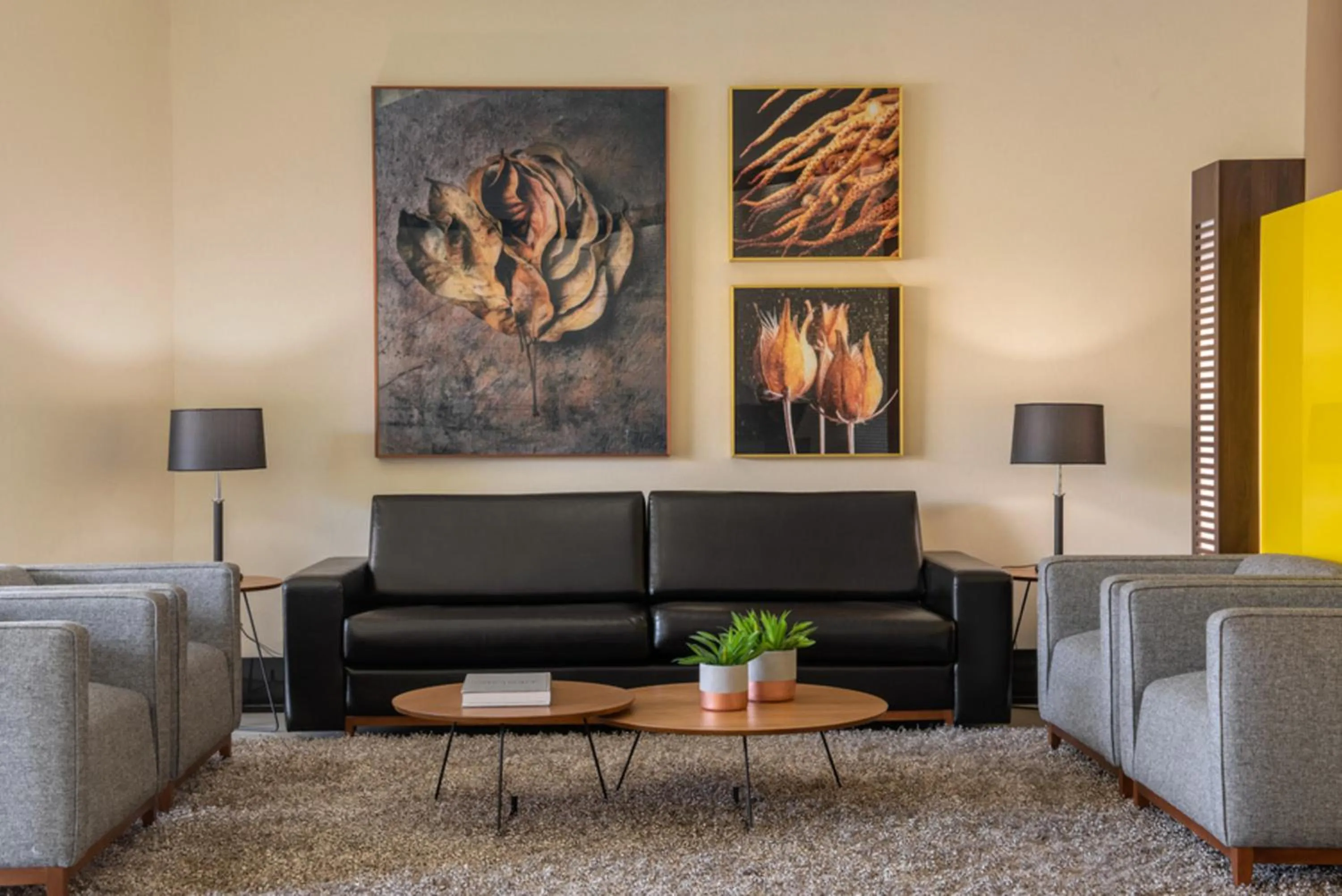 Lobby or reception in Intercity Itupeva