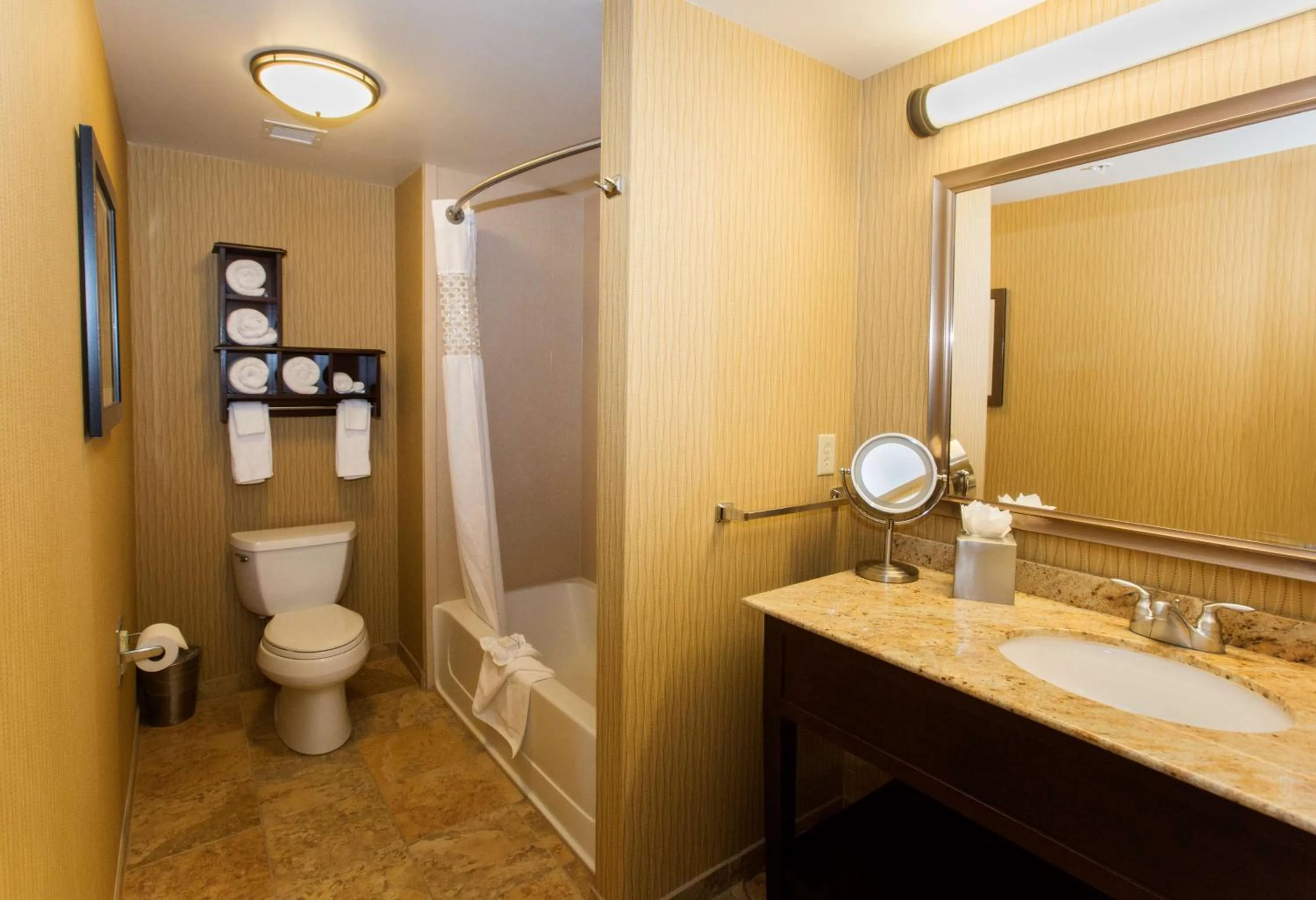 Bathroom in Hampton Inn Marquette-Waterfront